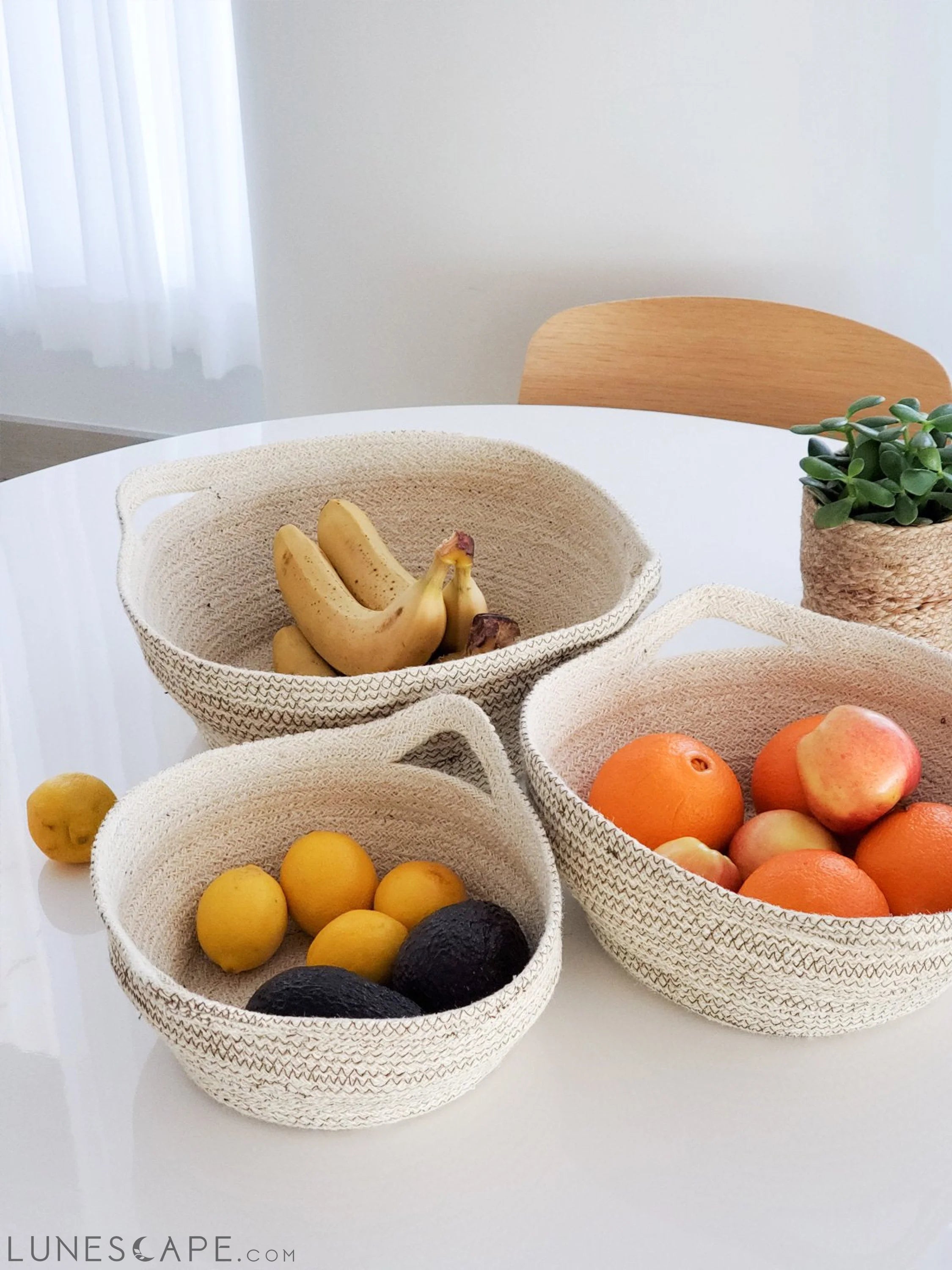 Amari Fruit Bowl - Brown LUNESCAPE