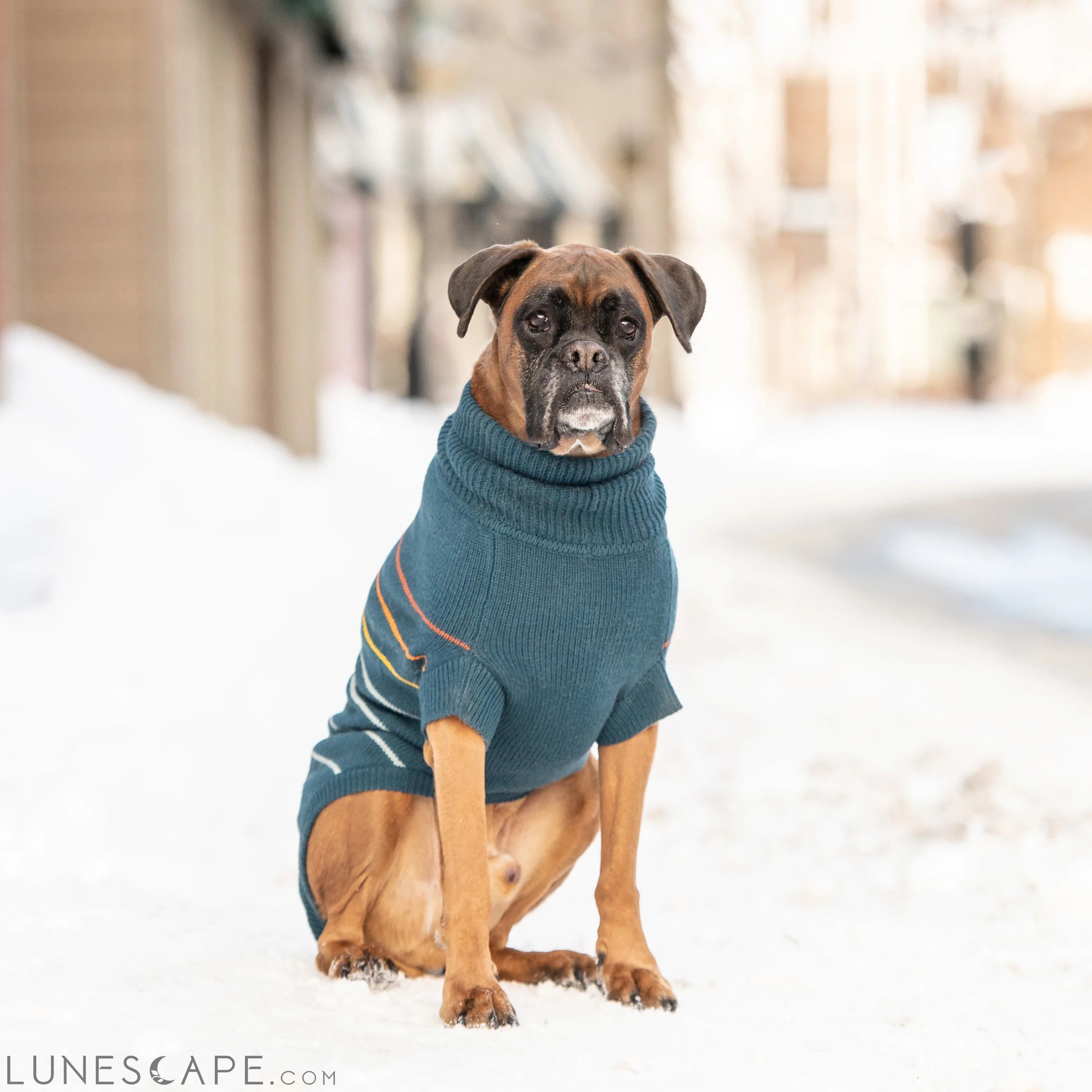Arctic Sweater - Teal LUNESCAPE