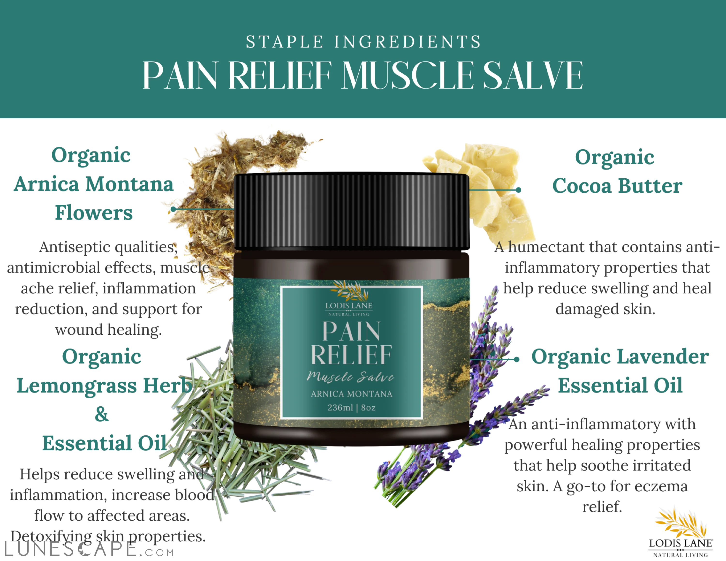 Arnica Montana Sore Muscle Salve LUNESCAPE