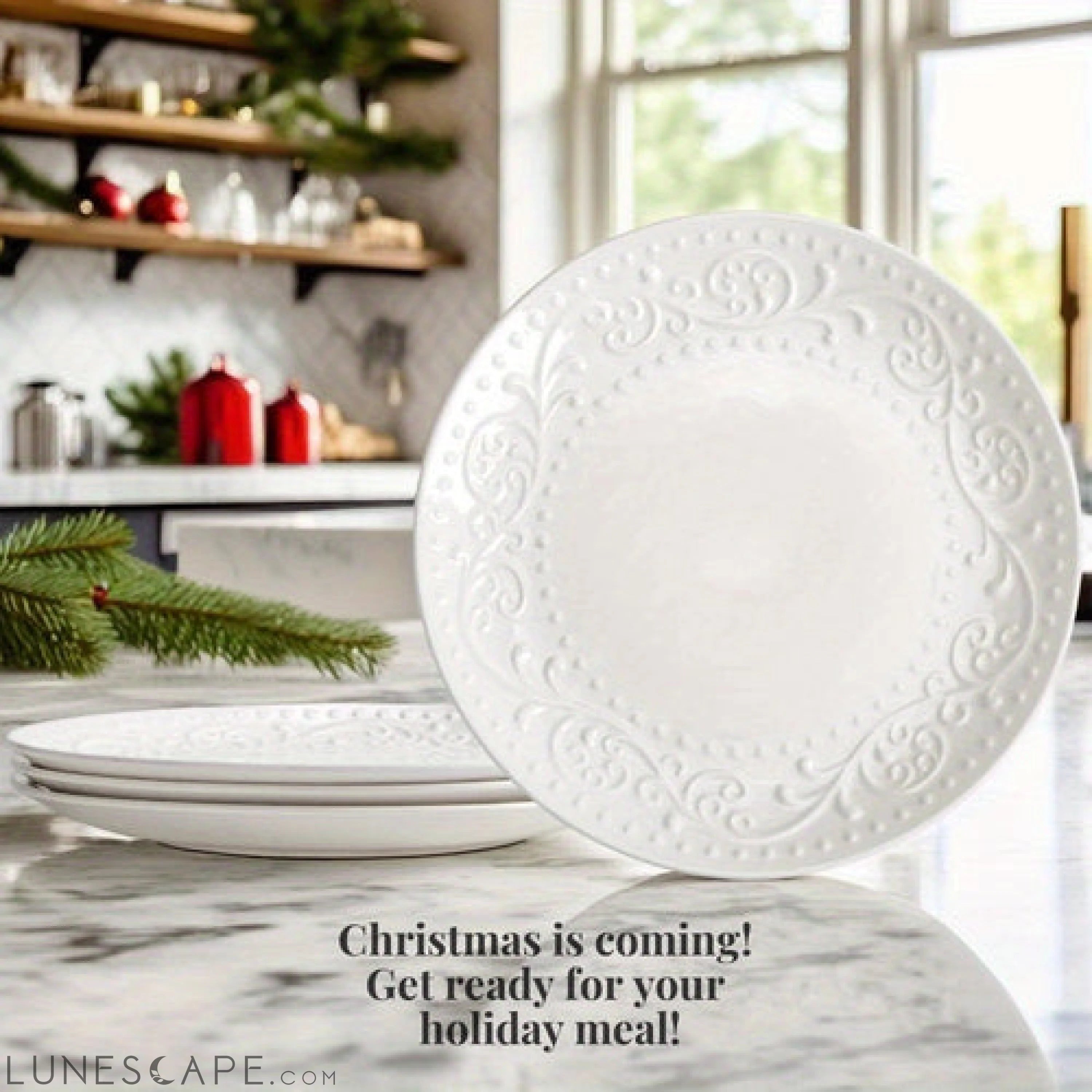 Artena 4Piece Embossed Porcelain Dinner Plate Set LUNESCAPE