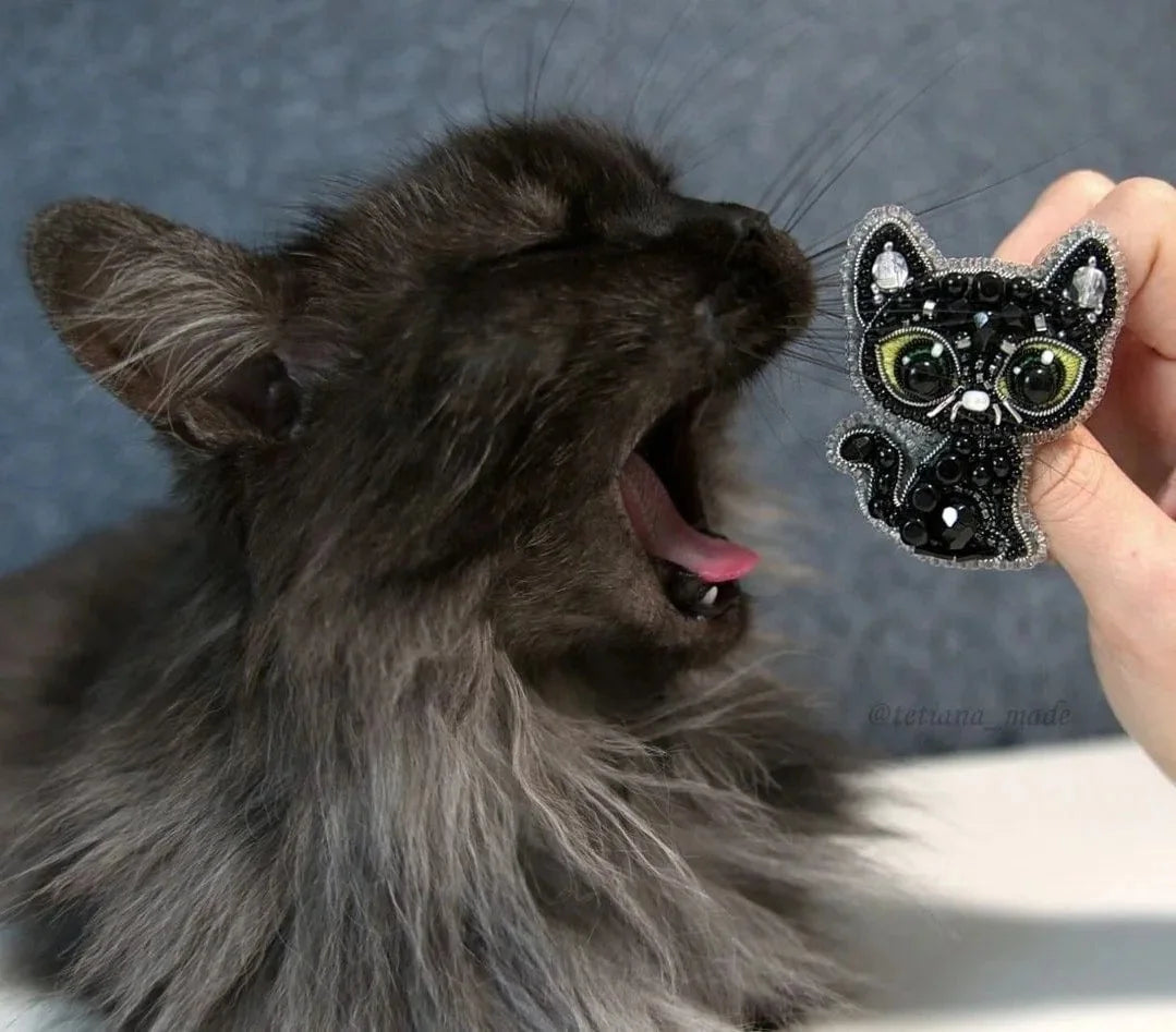 Beadwork kit for creating brooch Crystal Art "Black cat" LUNESCAPE