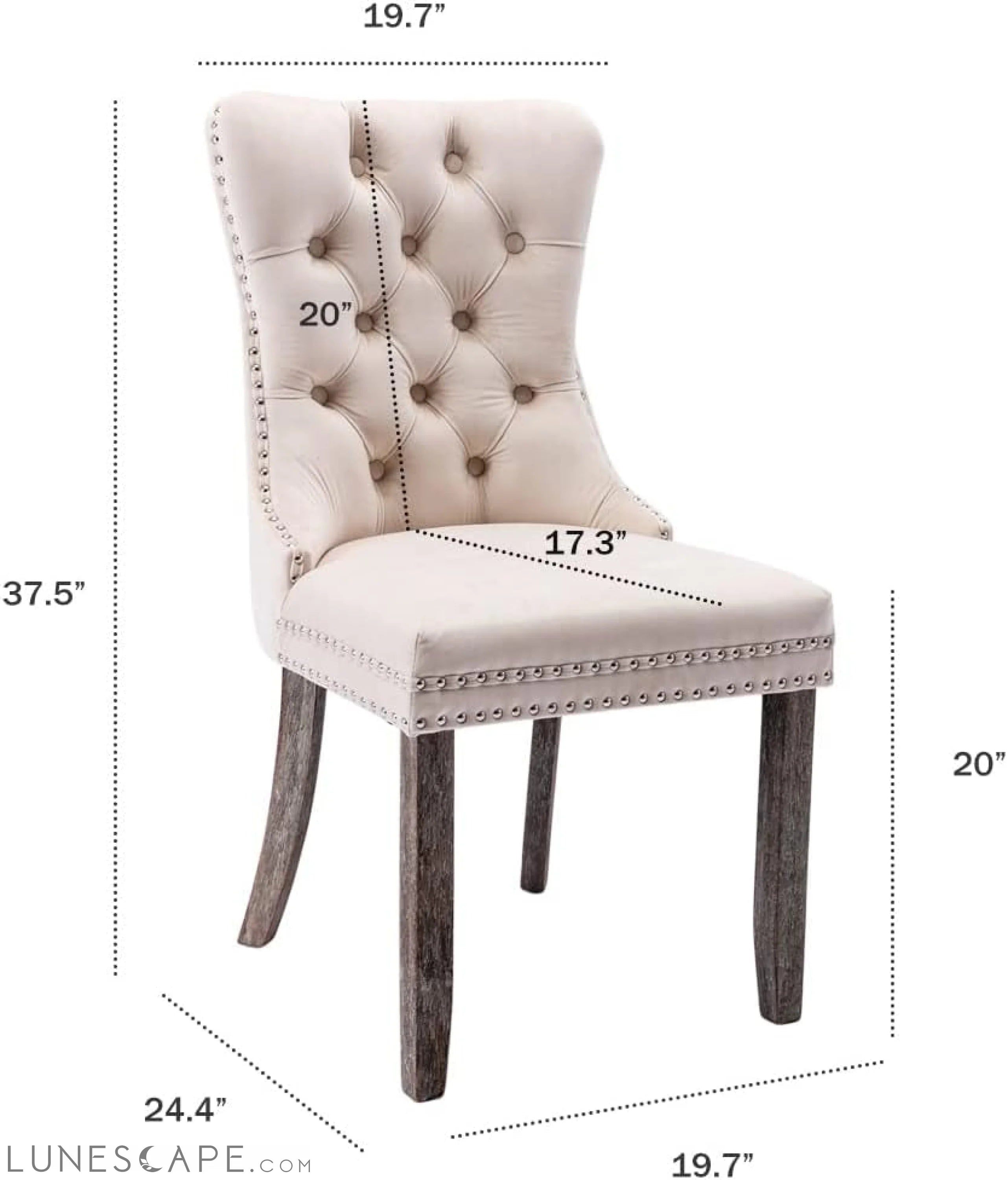 Beige Velvet Ring Pull Trimmed Dining Chairs Set of 6 LUNESCAPE