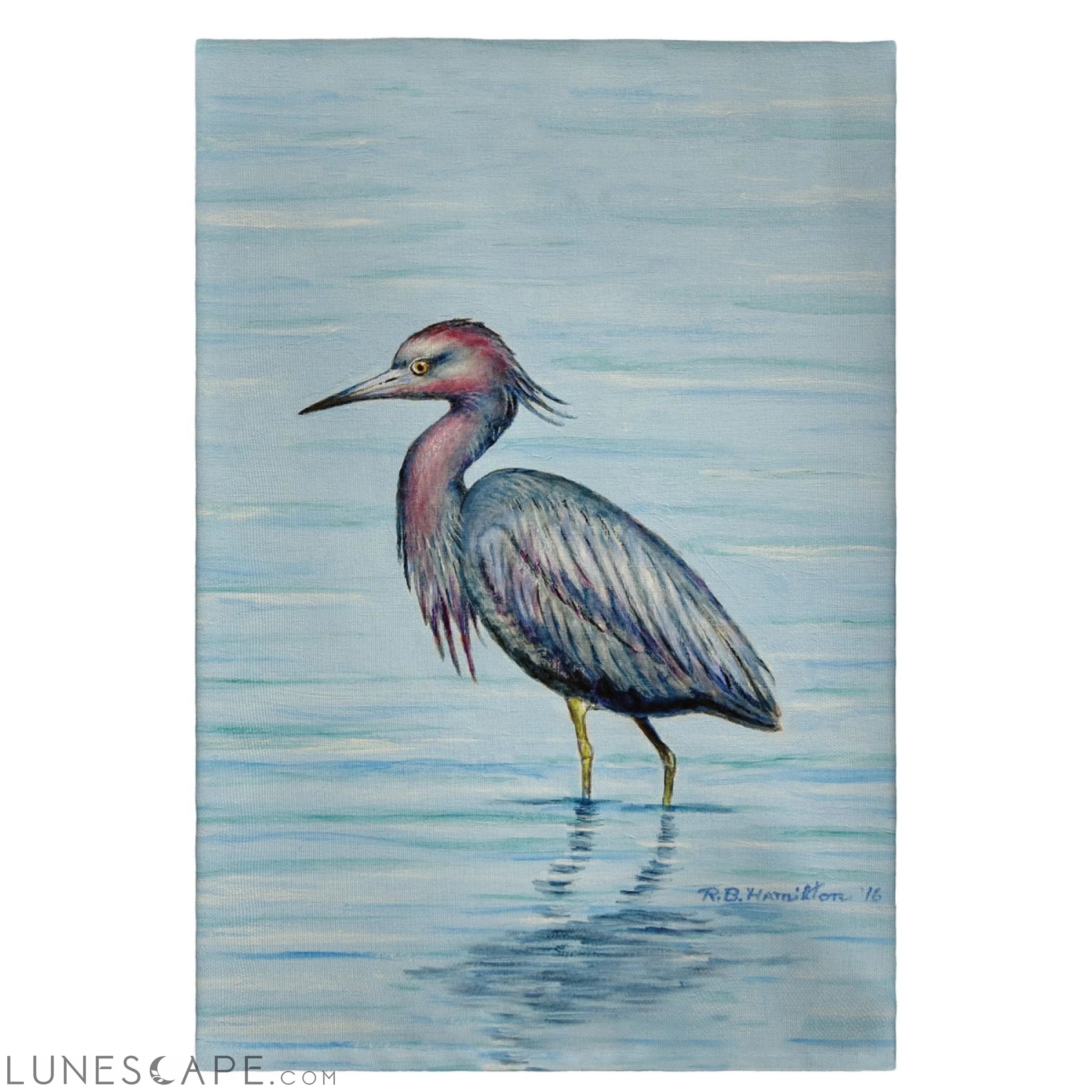 Betsy Drake GT492 Dicks Little Blue Heron Guest Towel - 20 x 20 in. LUNESCAPE