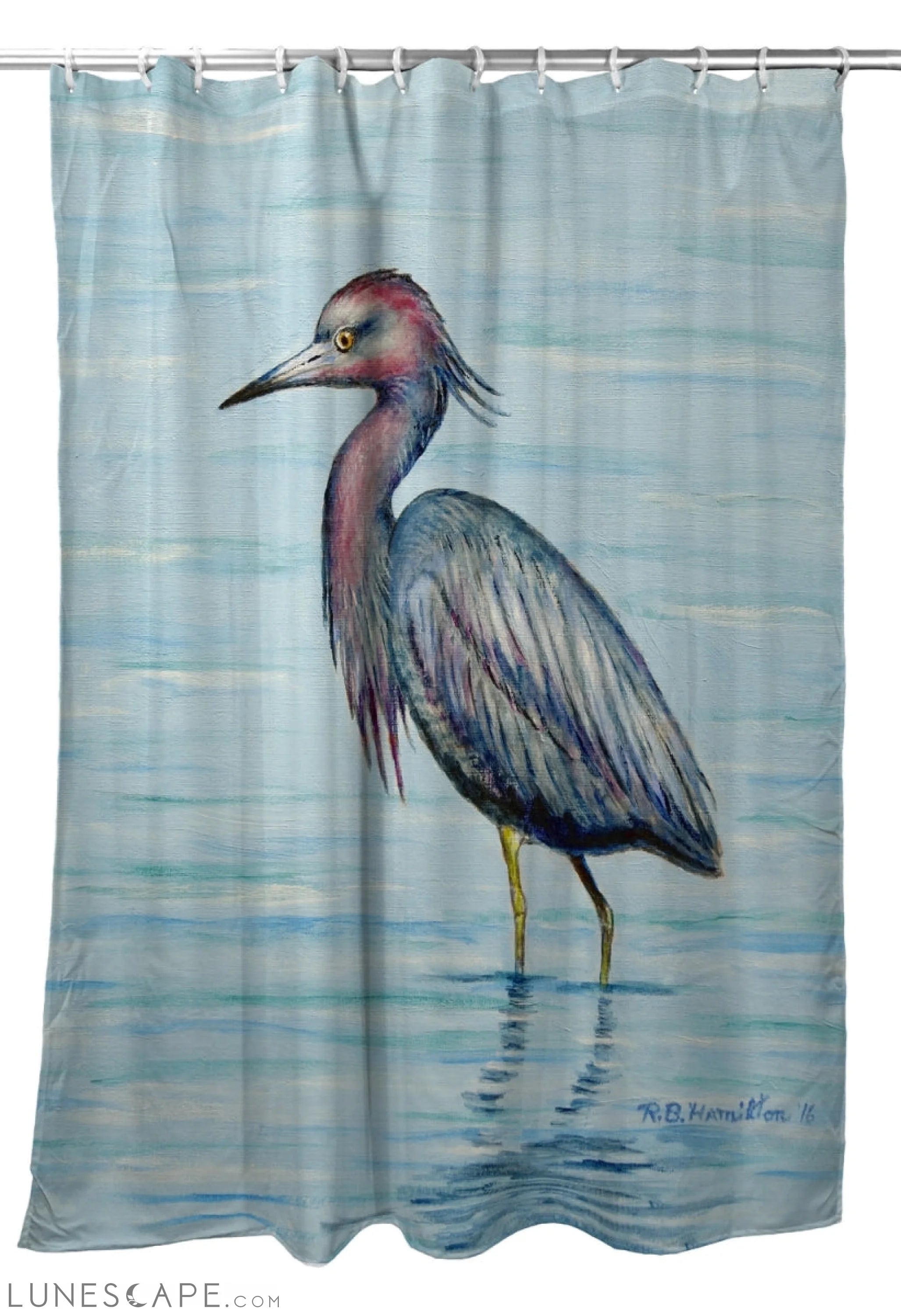 Betsy Drake SH492 70 x 72 in. Dicks Little Blue Heron Shower Curtain LUNESCAPE
