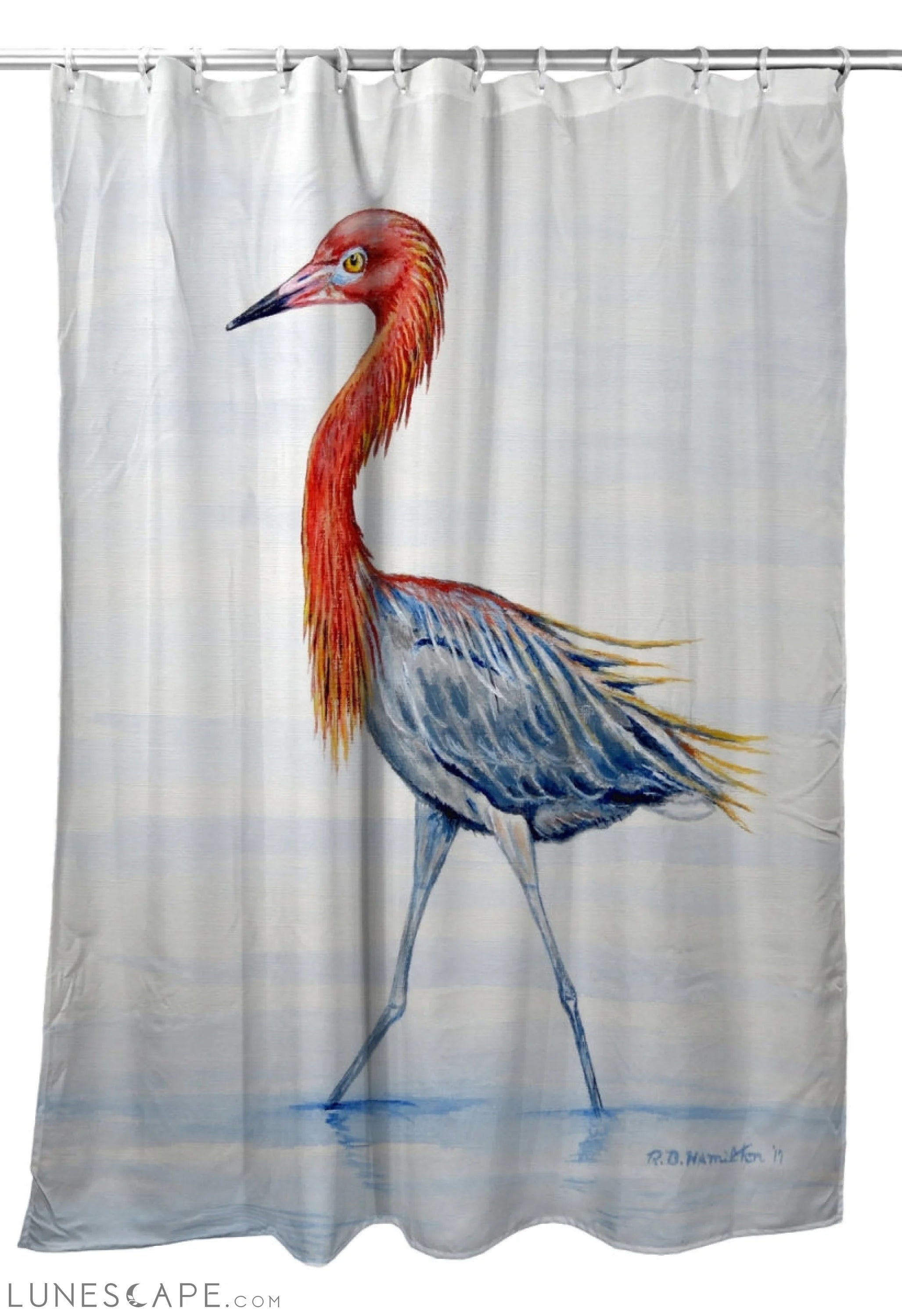 Betsy Drake SH820 70 x 72 in. Reddish Egret Shower Curtain LUNESCAPE
