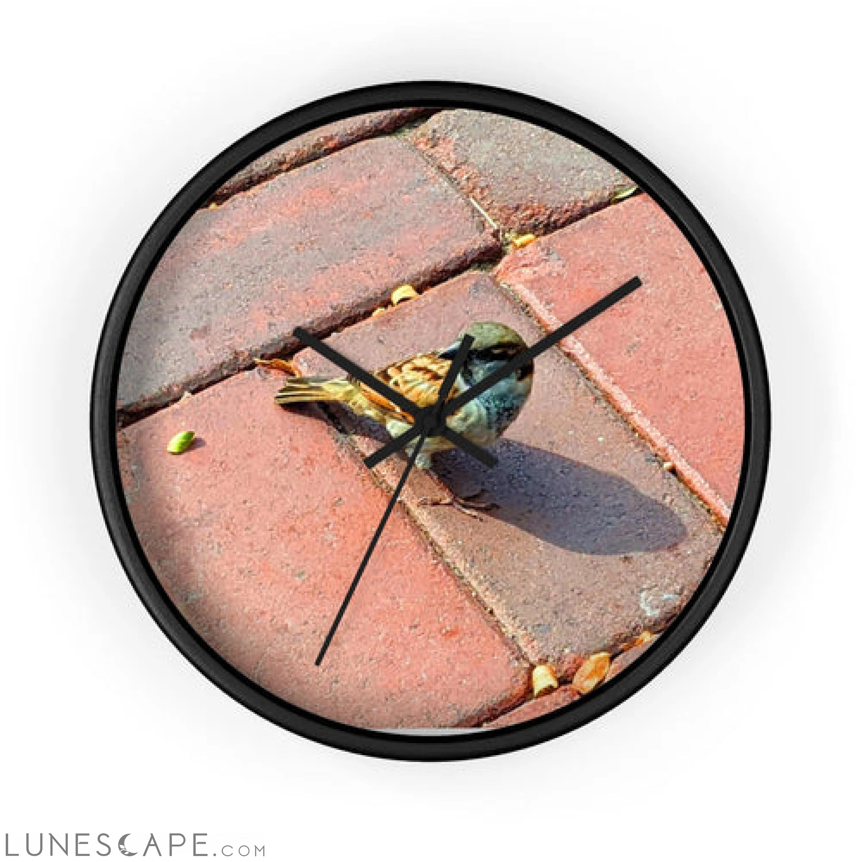 Bird Wall clock LUNESCAPE