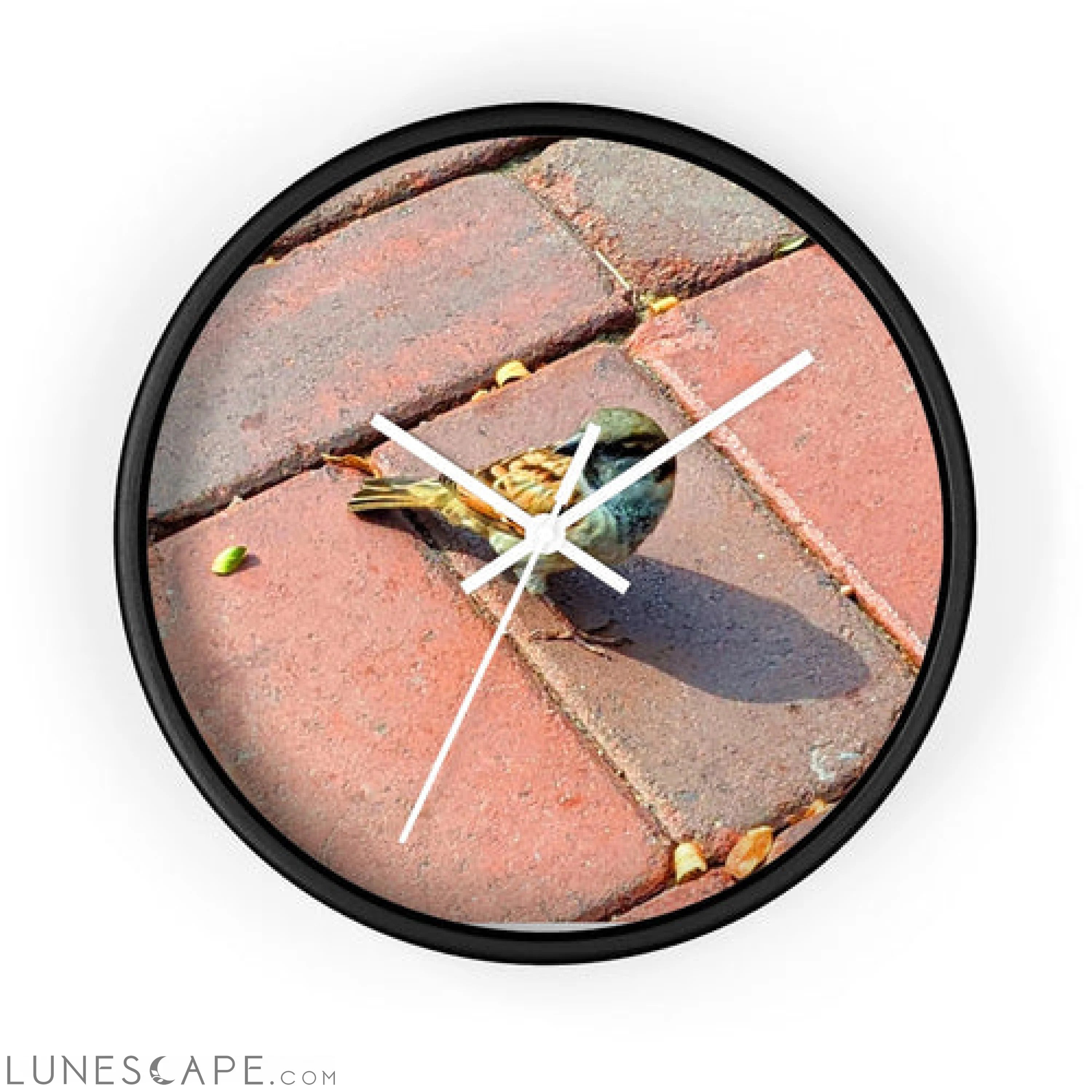 Bird Wall clock LUNESCAPE