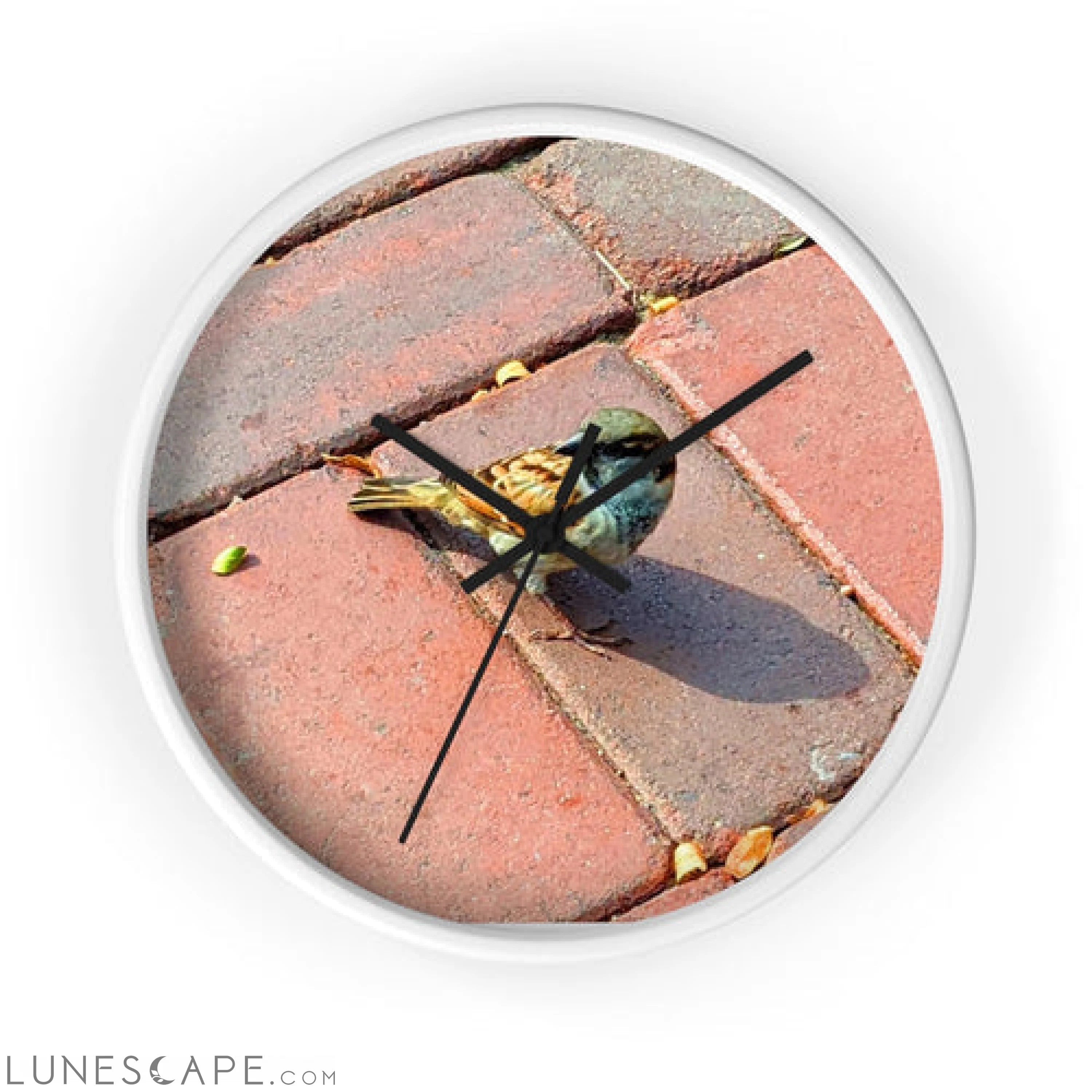 Bird Wall clock LUNESCAPE