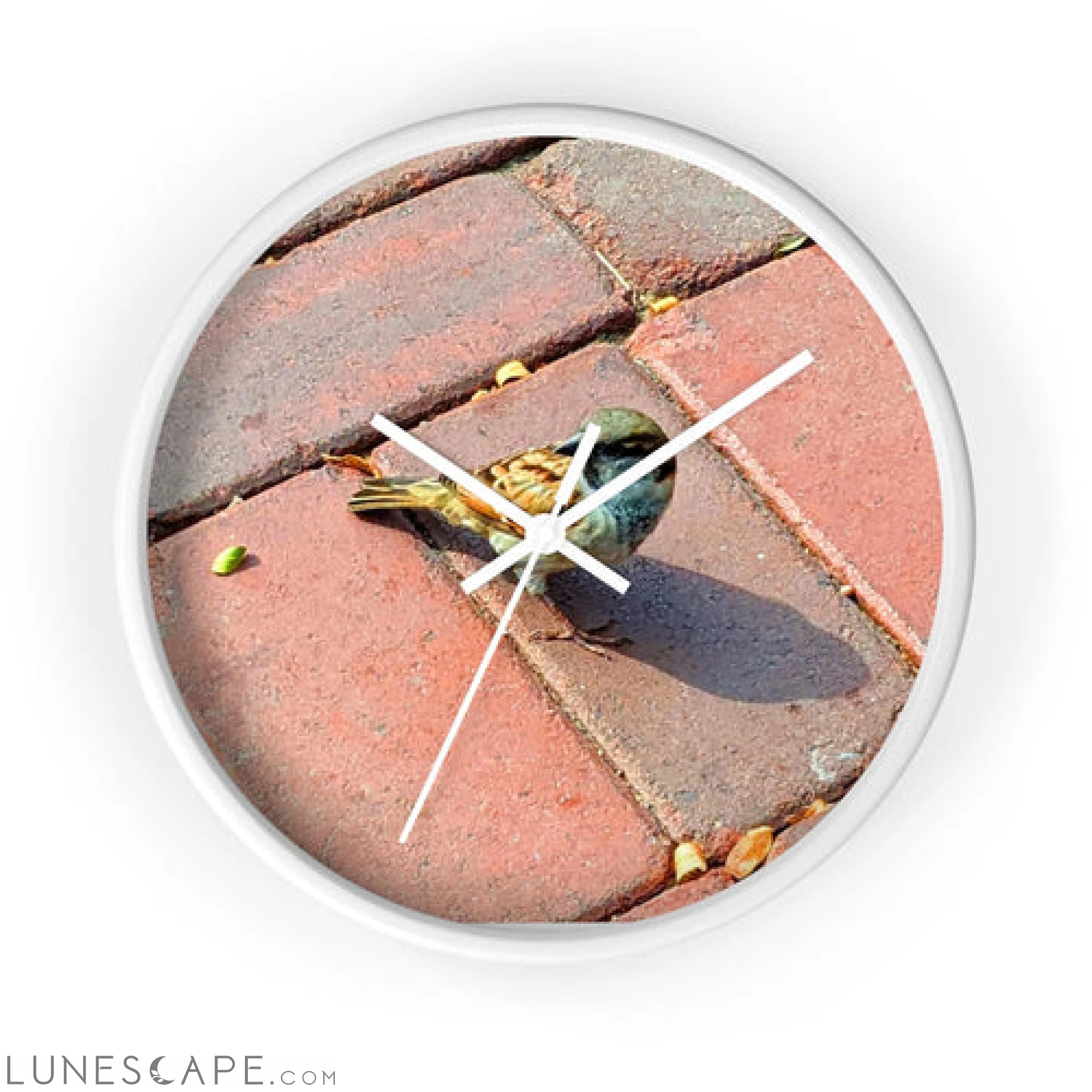 Bird Wall clock LUNESCAPE