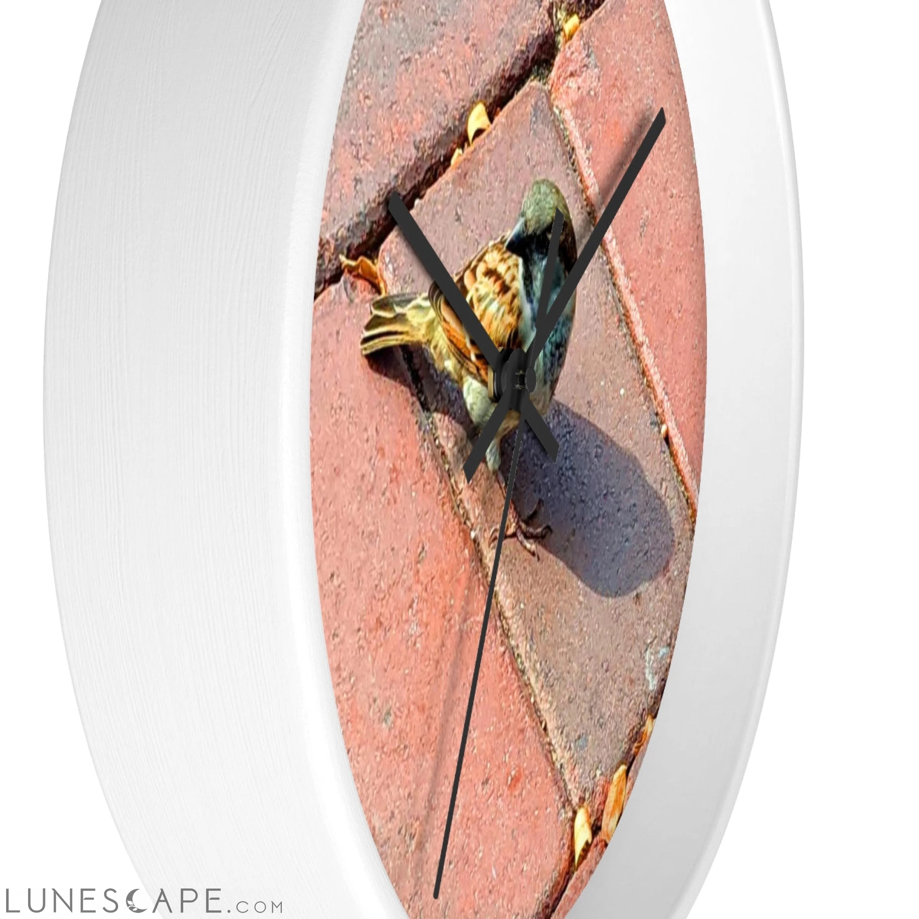 Bird Wall clock LUNESCAPE