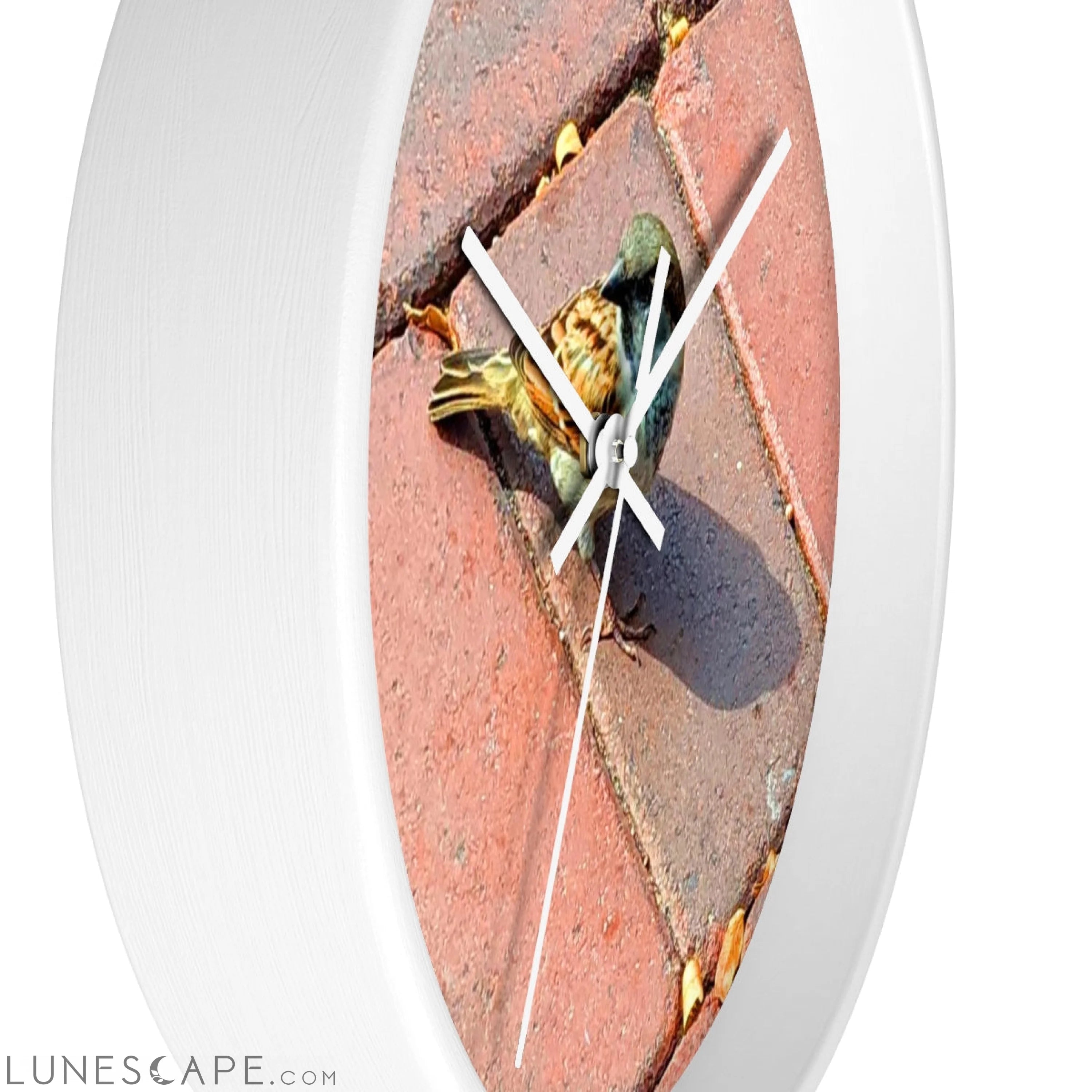 Bird Wall clock LUNESCAPE