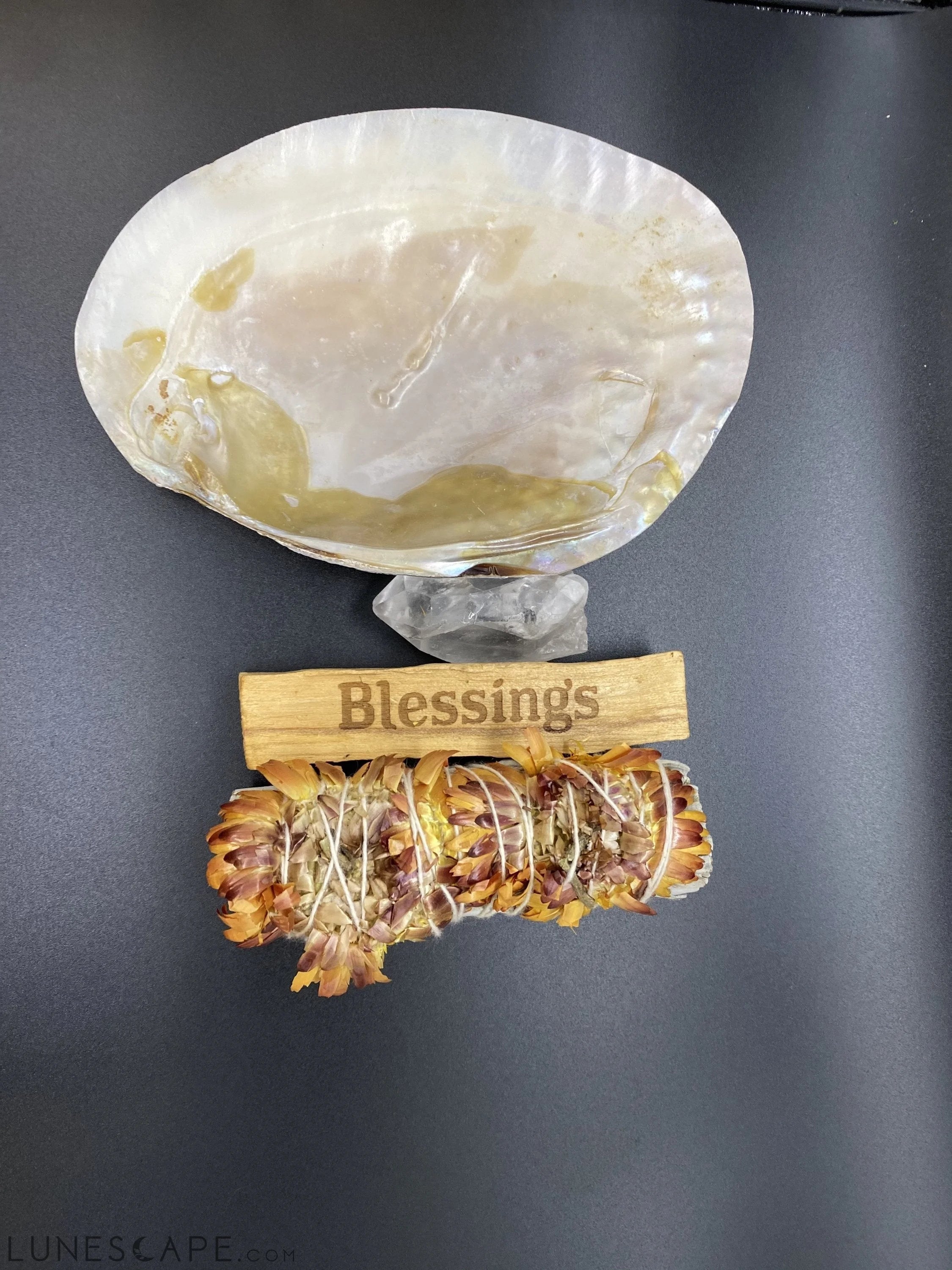 Blessing Smudge Kit LUNESCAPE