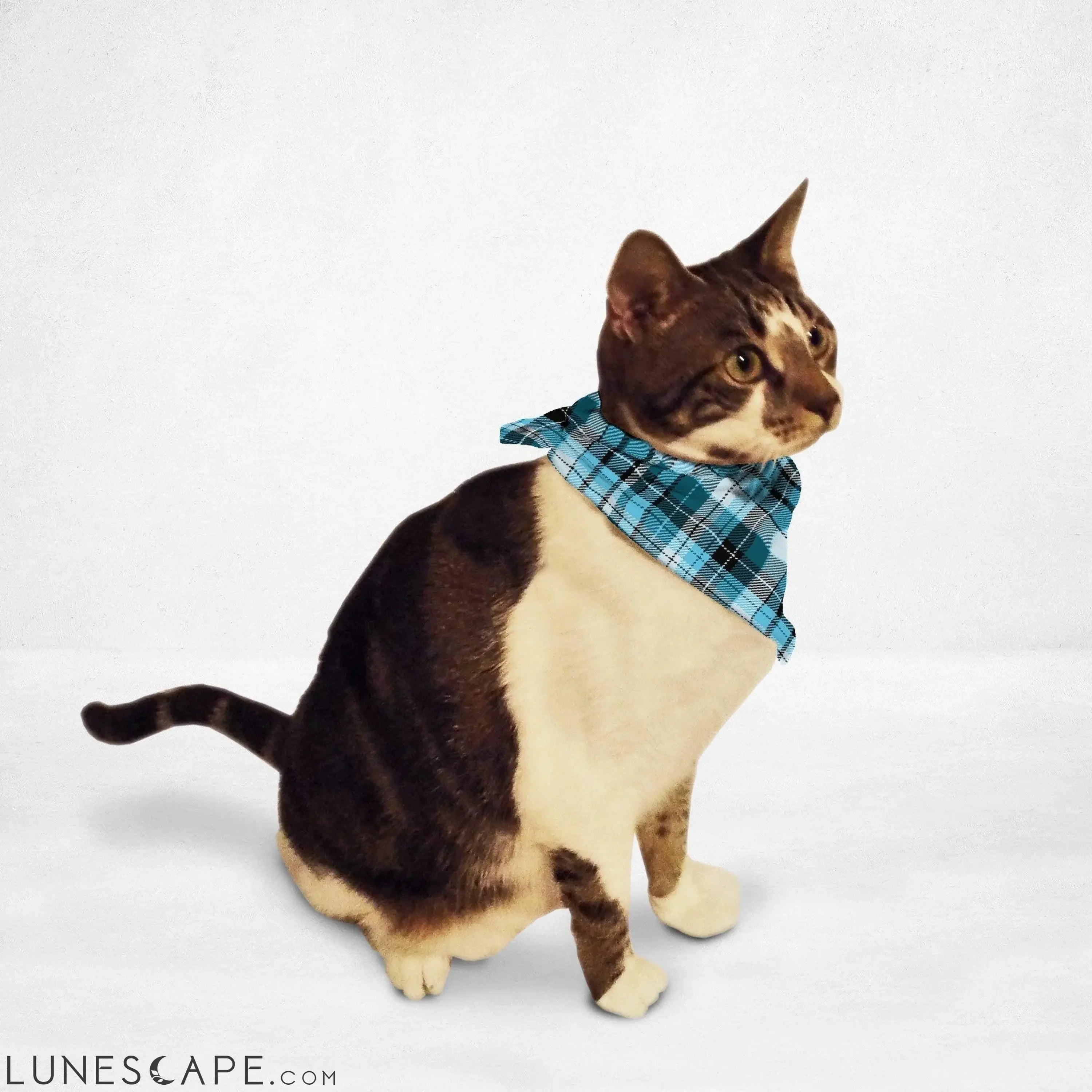 Blue Checkered Cat & Dog Bandana LUNESCAPE