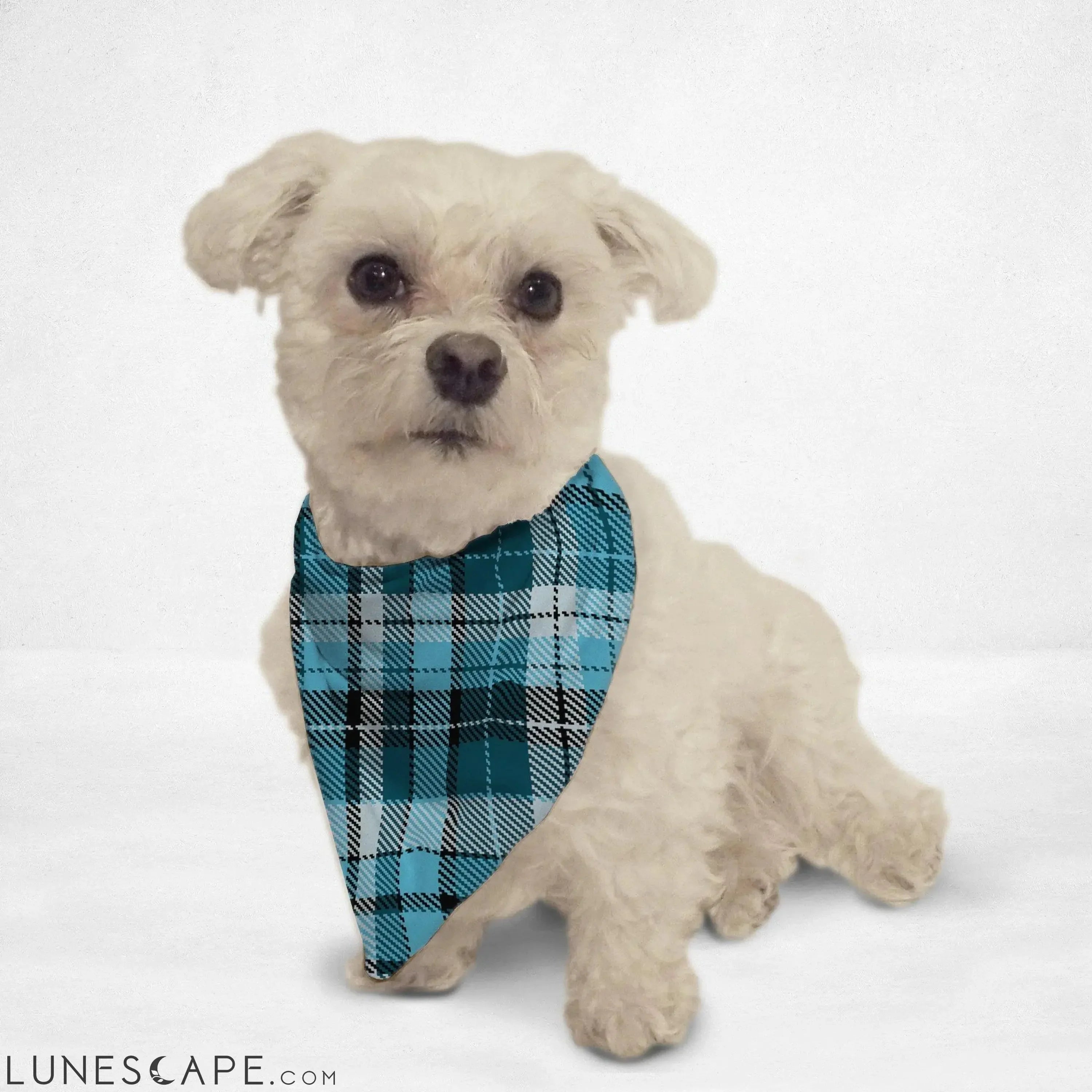 Blue Checkered Cat & Dog Bandana LUNESCAPE