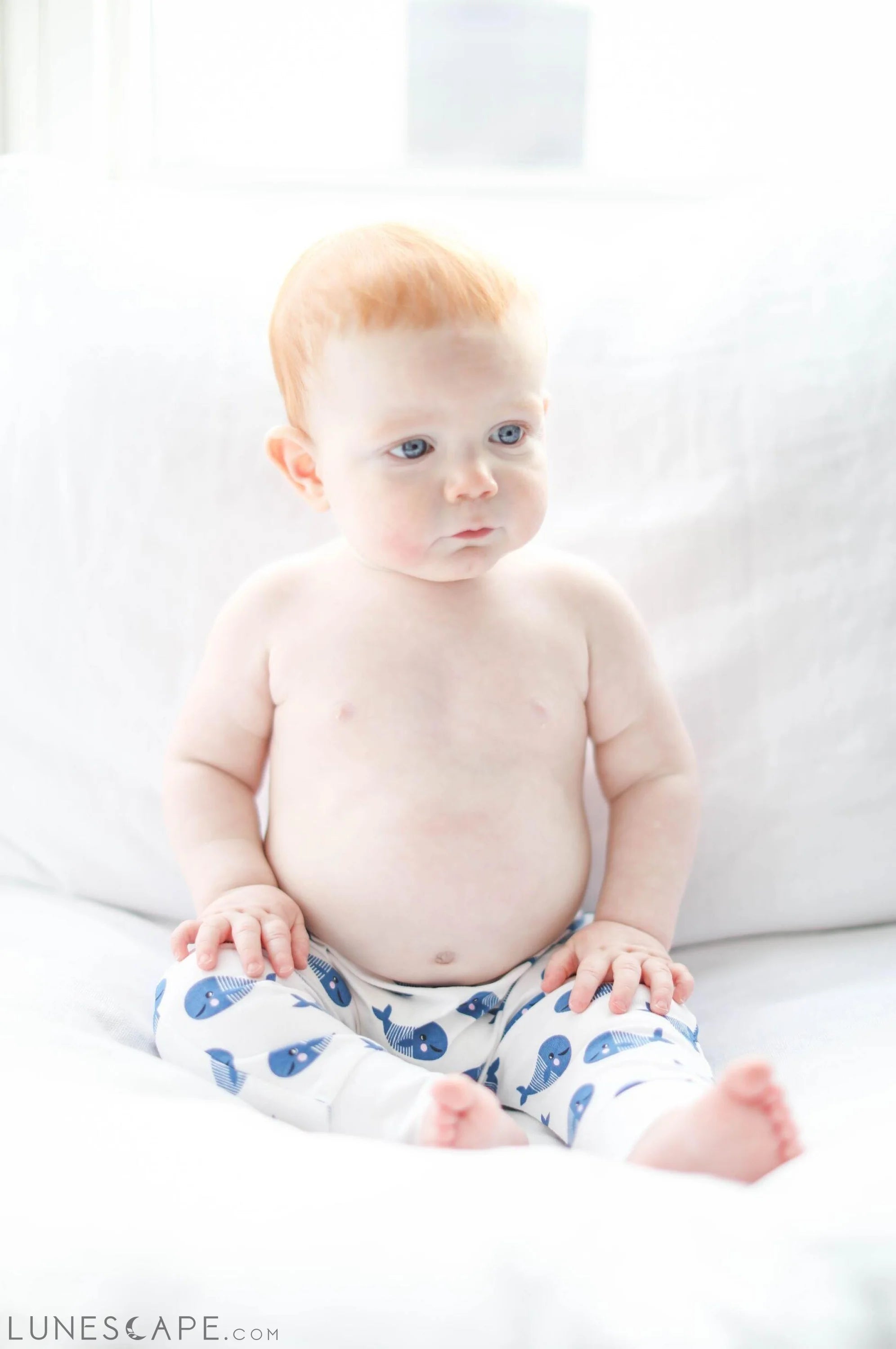 "Boo Boo" Harem Pants - Blue Whale LUNESCAPE