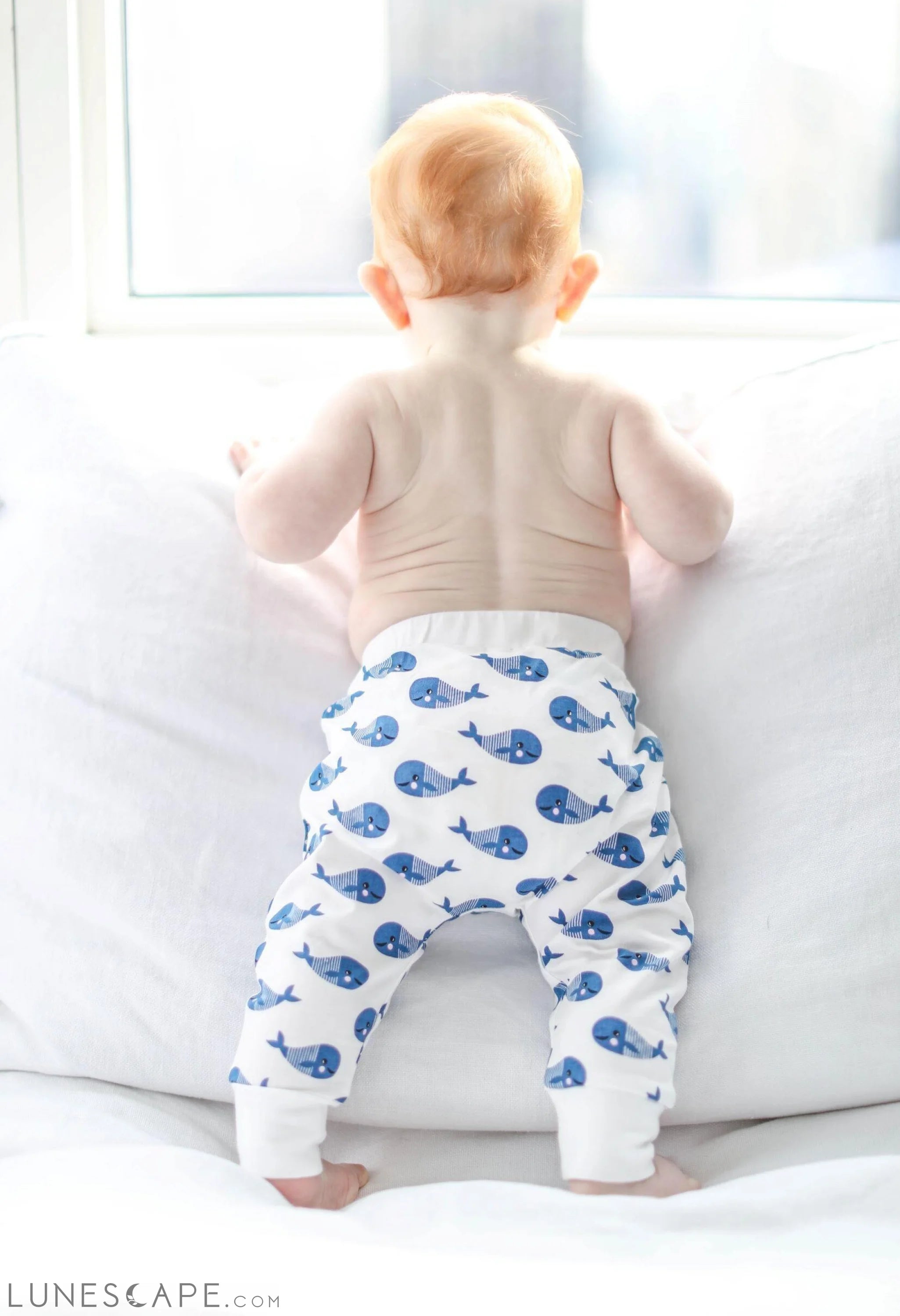"Boo Boo" Harem Pants - Blue Whale LUNESCAPE
