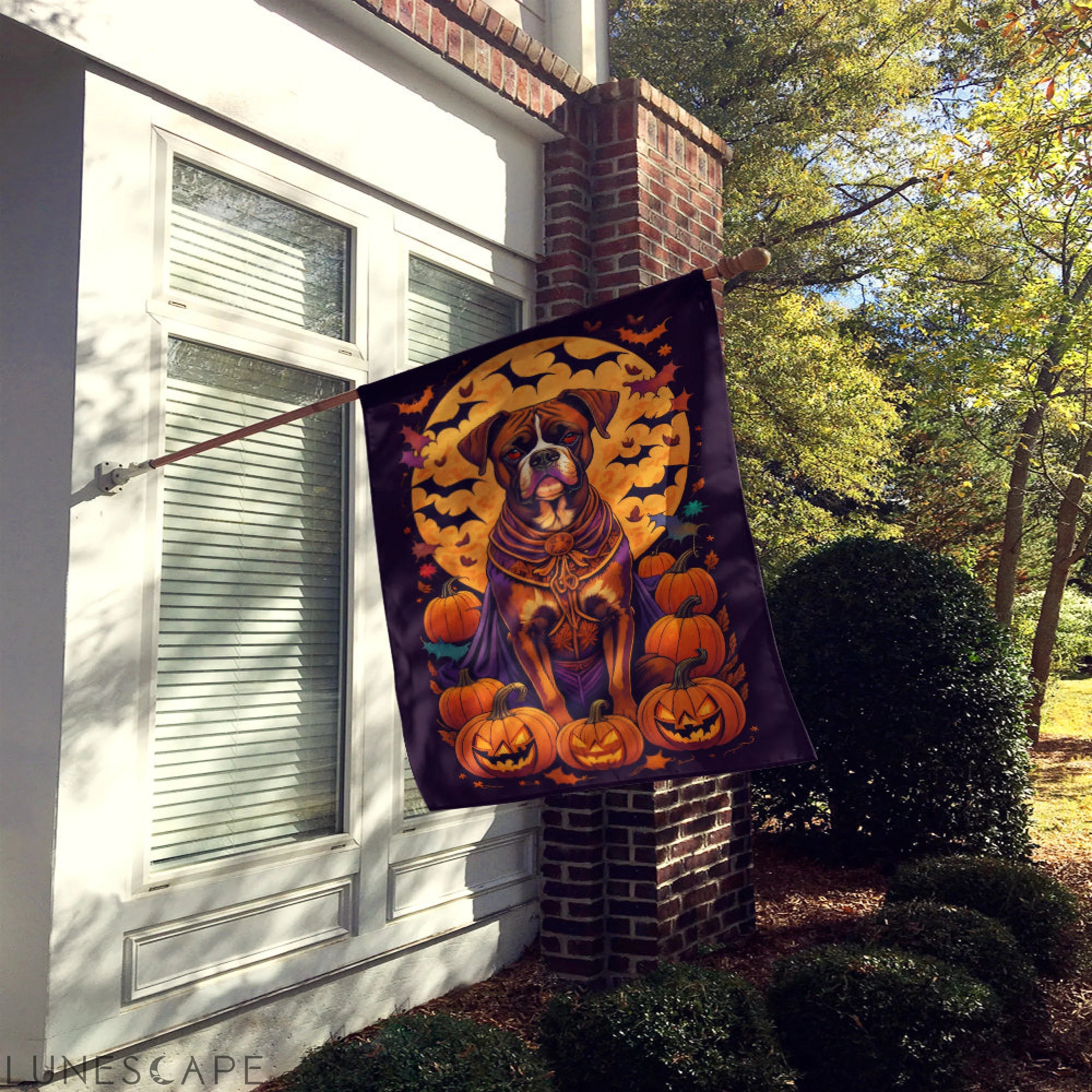 Boxer Witchy Halloween House Flag LUNESCAPE