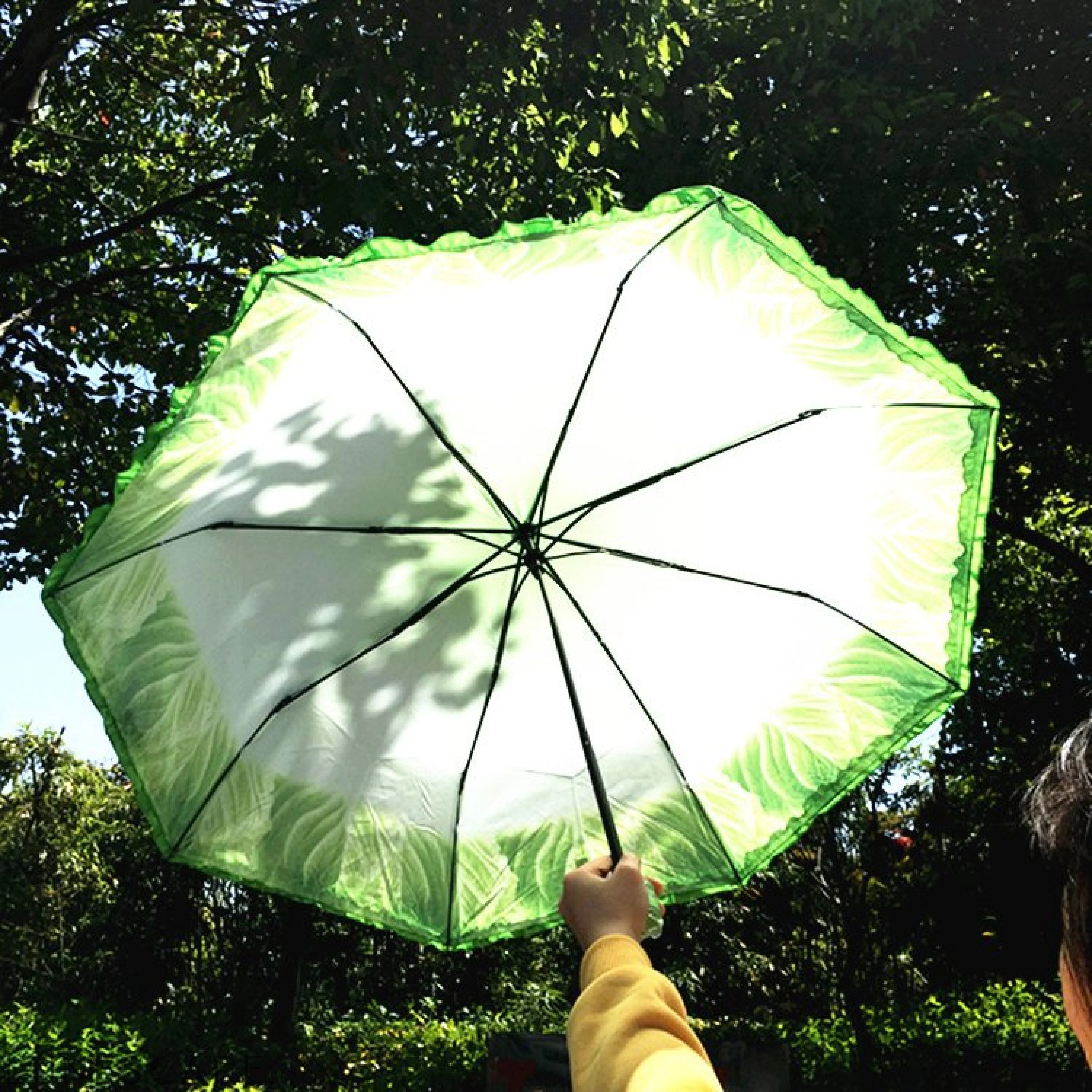 Cabbage Umbrella LUNESCAPE