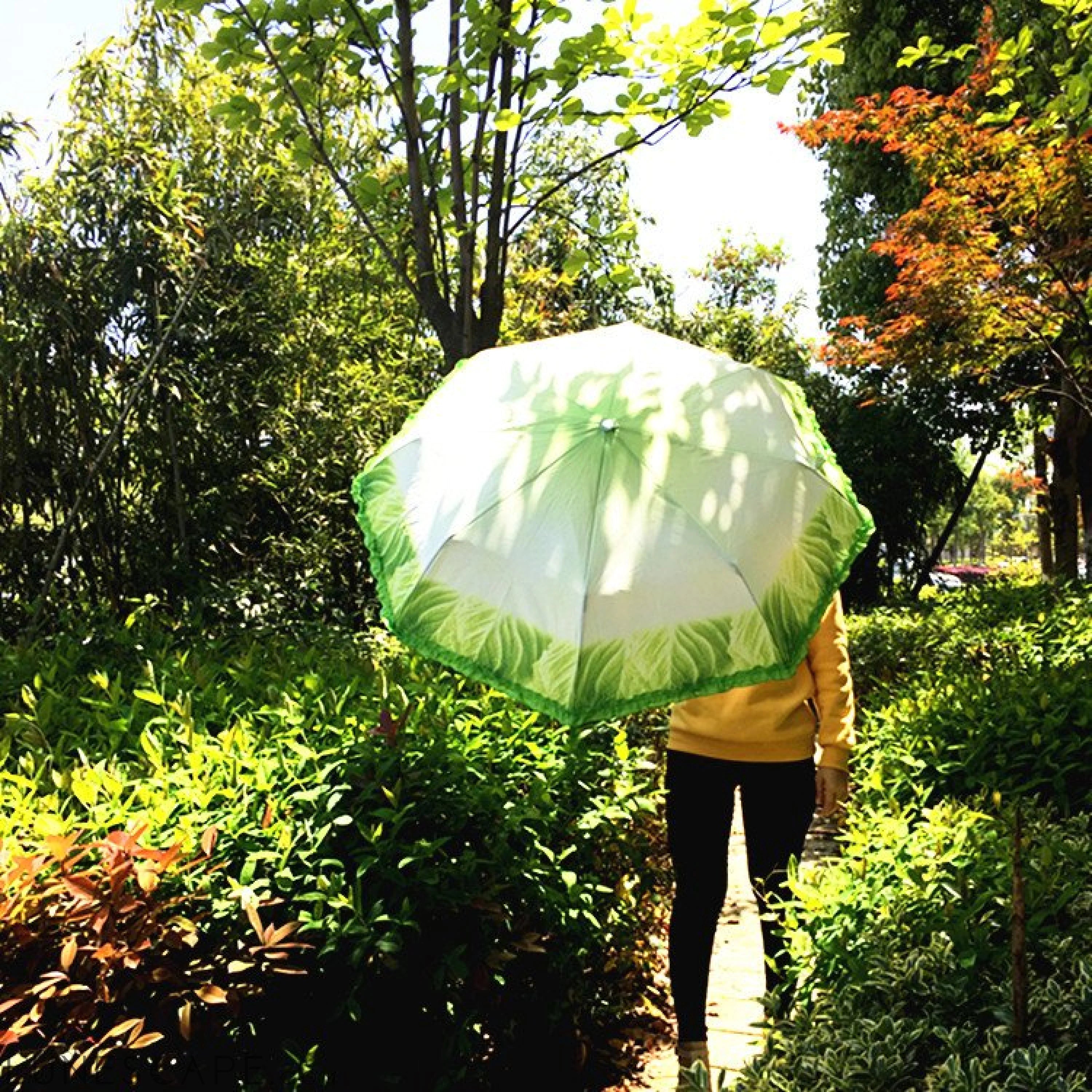 Cabbage Umbrella LUNESCAPE
