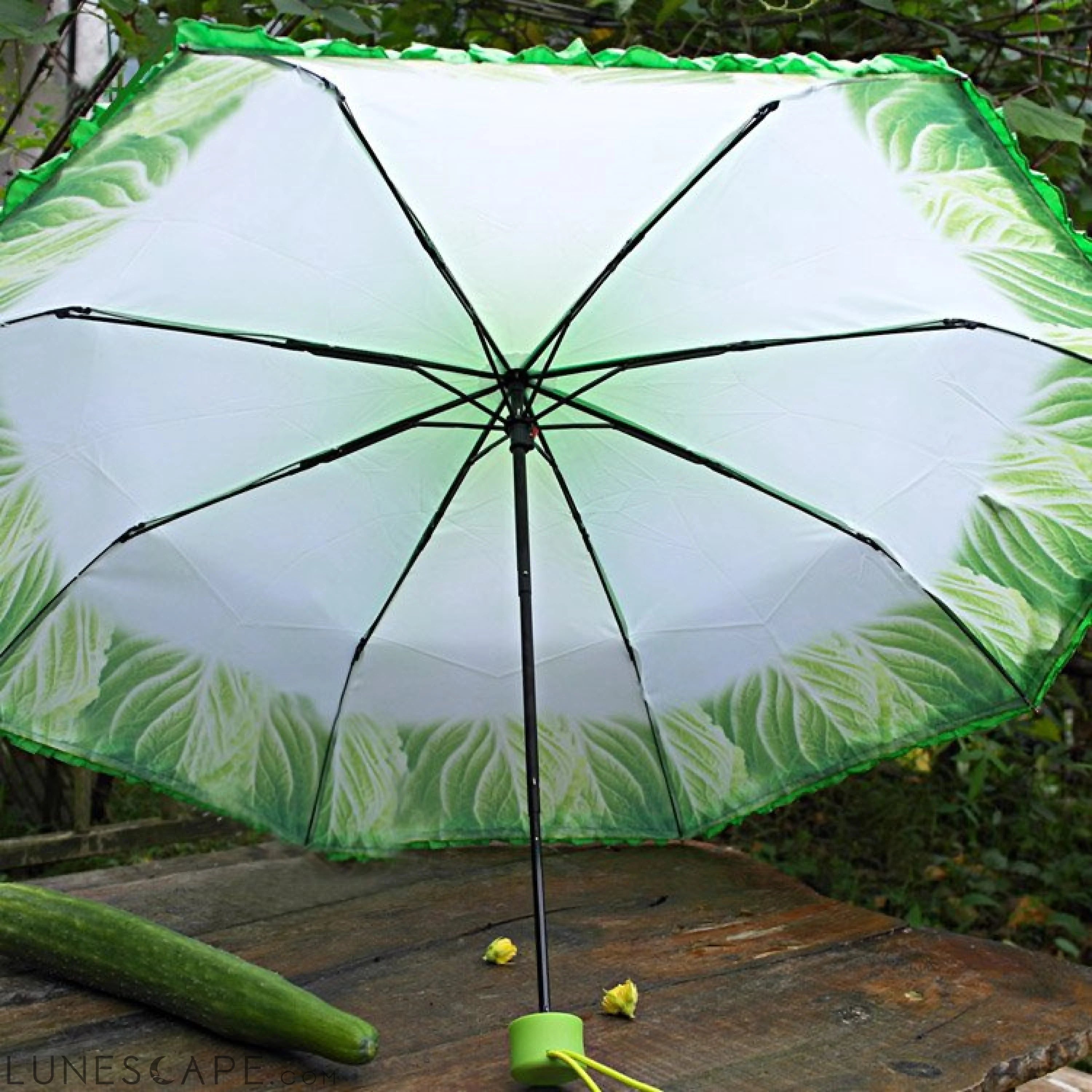 Cabbage Umbrella LUNESCAPE