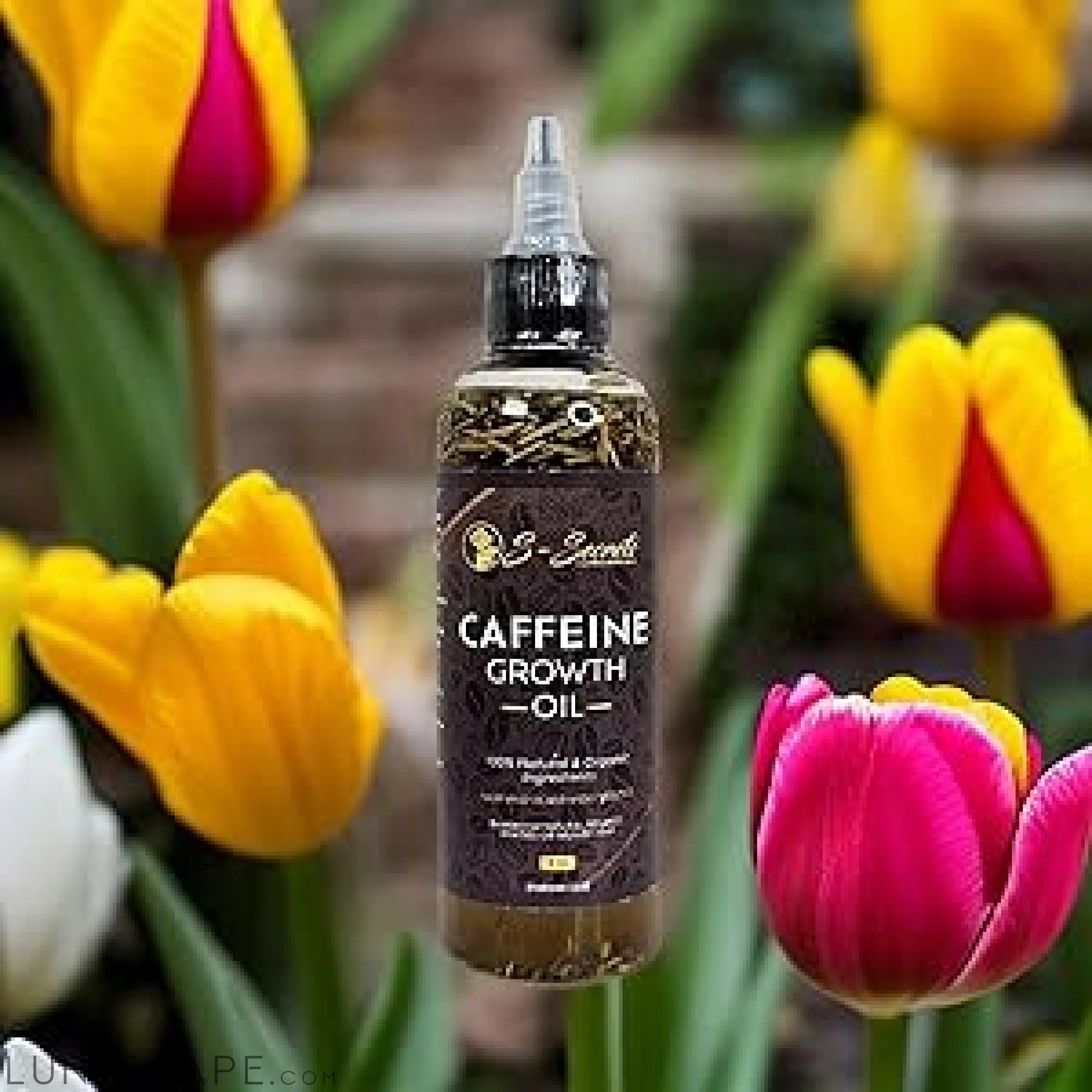Caffeine Hair Growth Oil 4oz, Herbs, Biotin, Essential oils For All LUNESCAPE