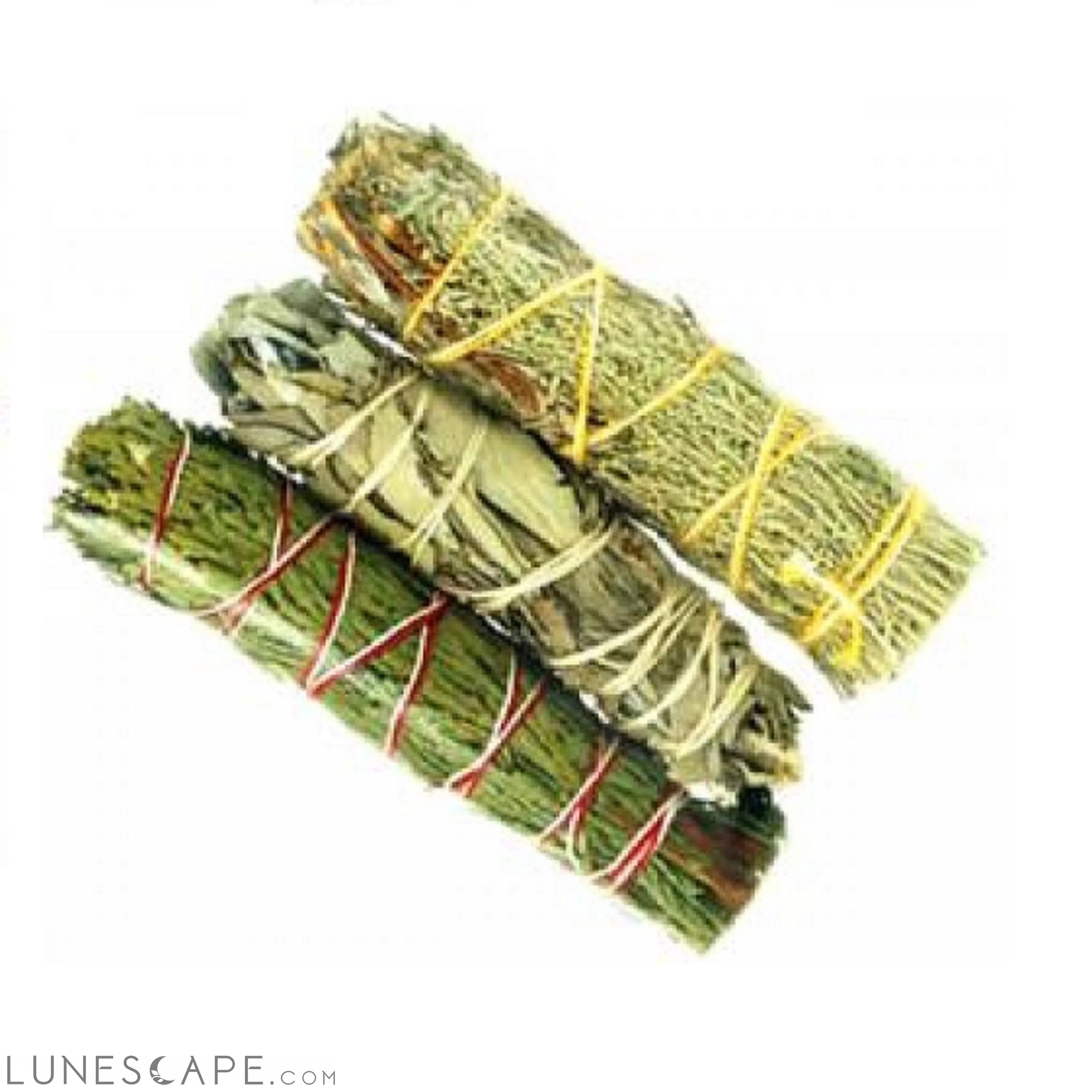 Cedar, White, Blue Sage bundle 3" LUNESCAPE