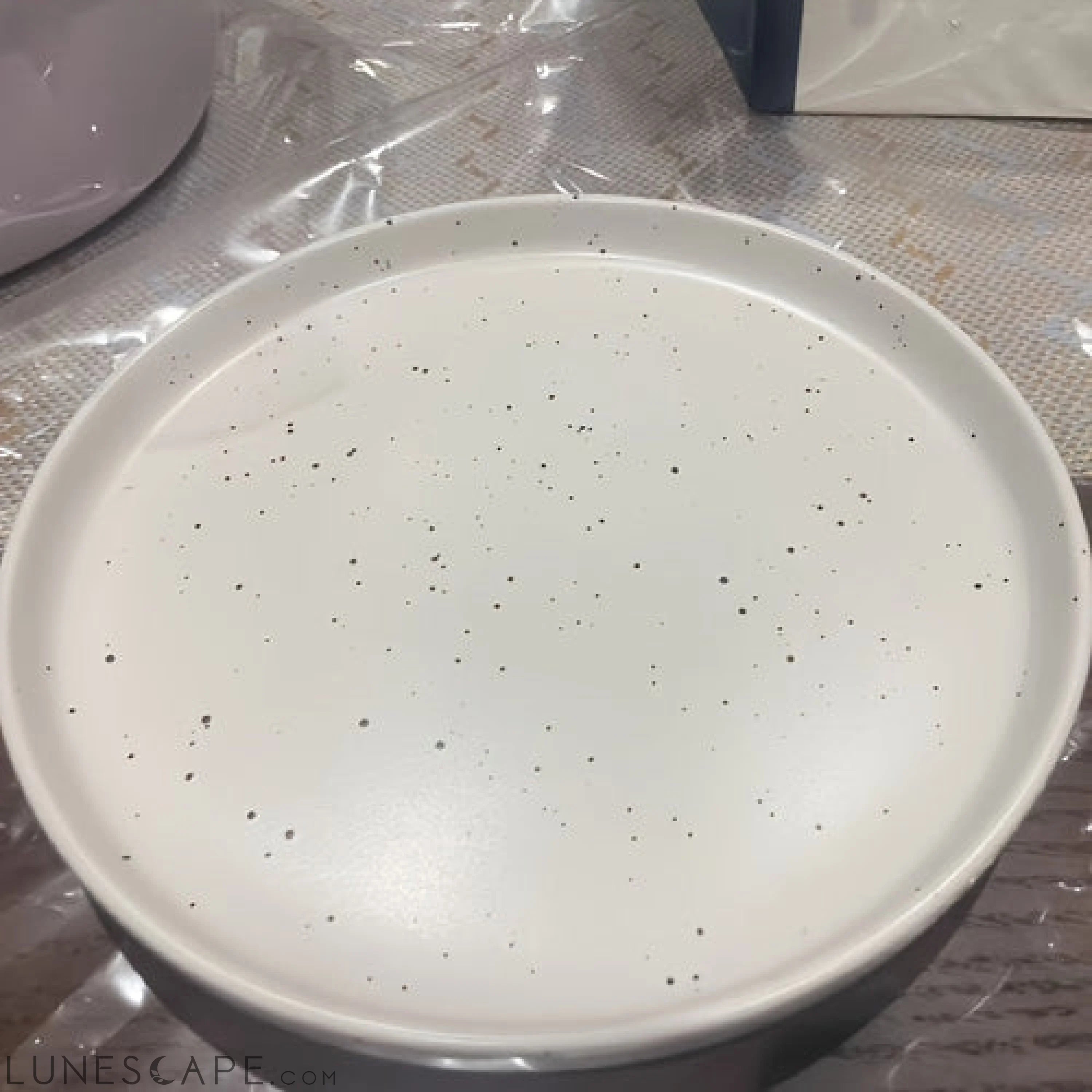 Ceramic Dinner Plate with Splattered Ink Design Stylish Tableware LUNESCAPE