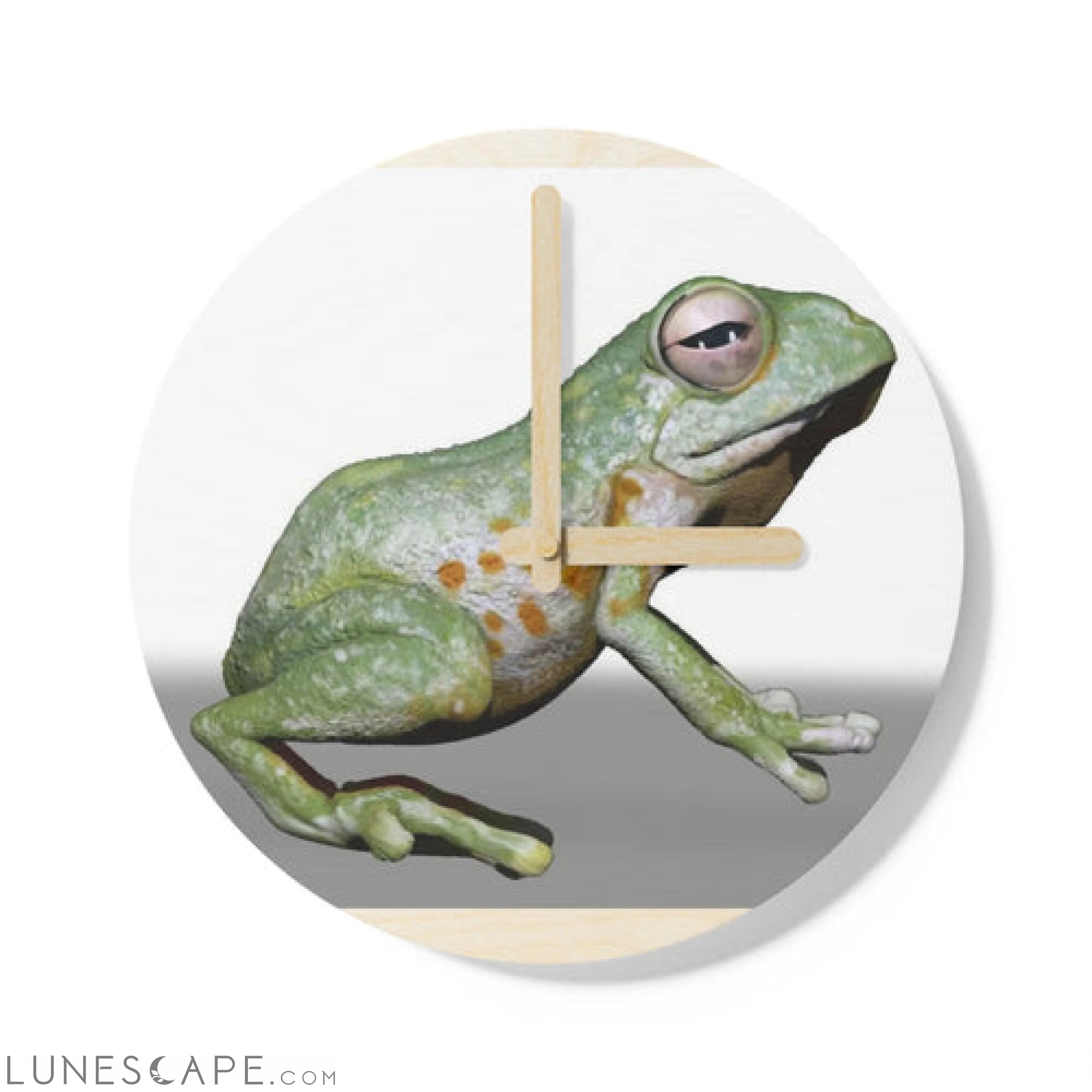 CG Frog Wooden Wall Clock LUNESCAPE