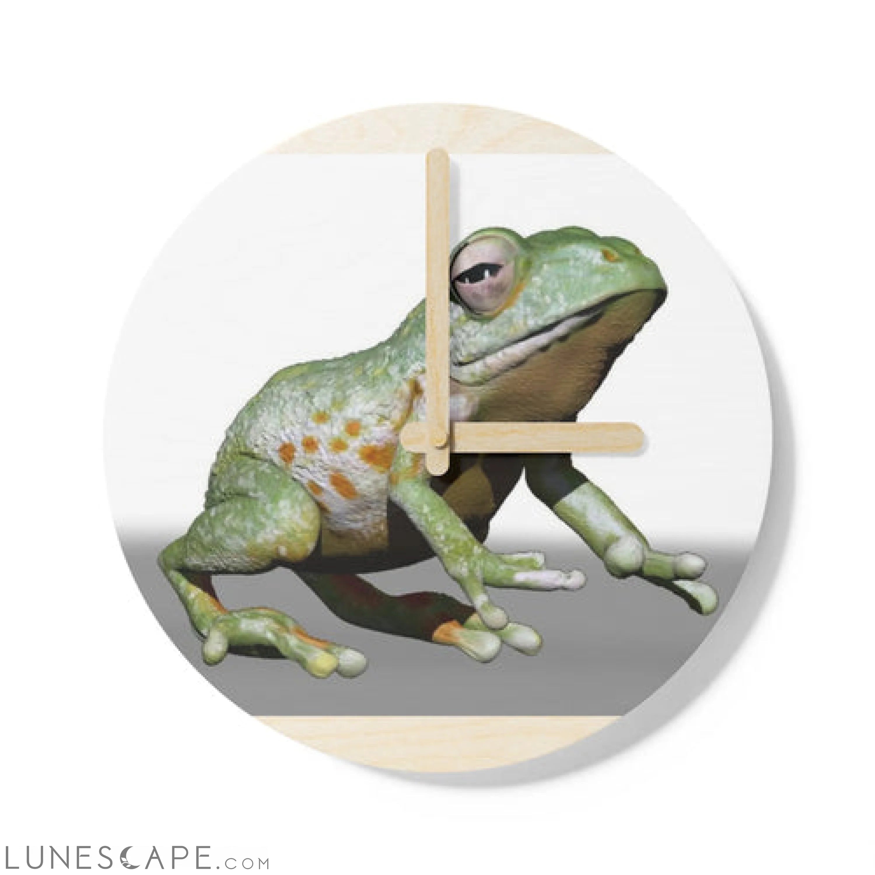 CG Frog Wooden Wall Clock LUNESCAPE