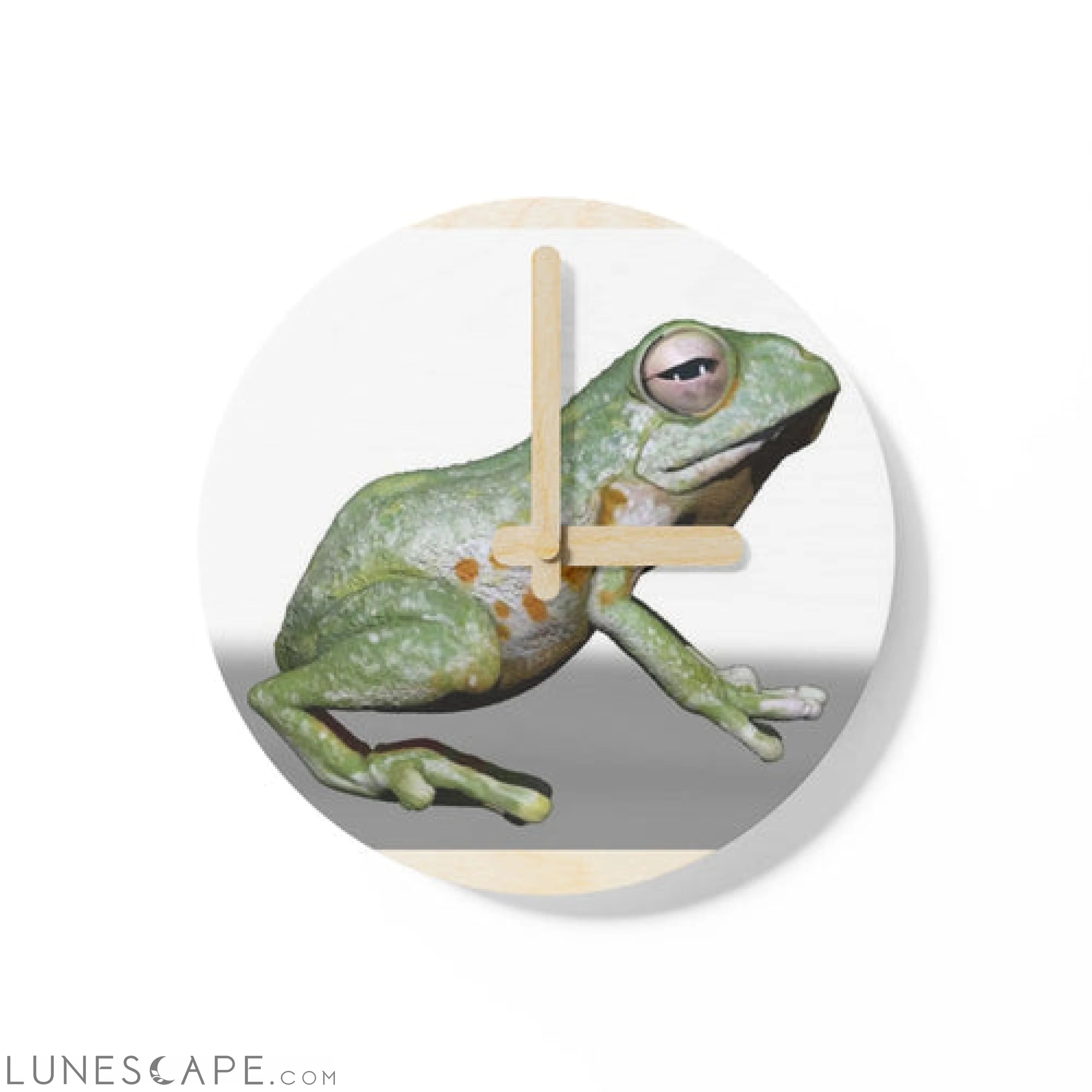 CG Frog Wooden Wall Clock LUNESCAPE