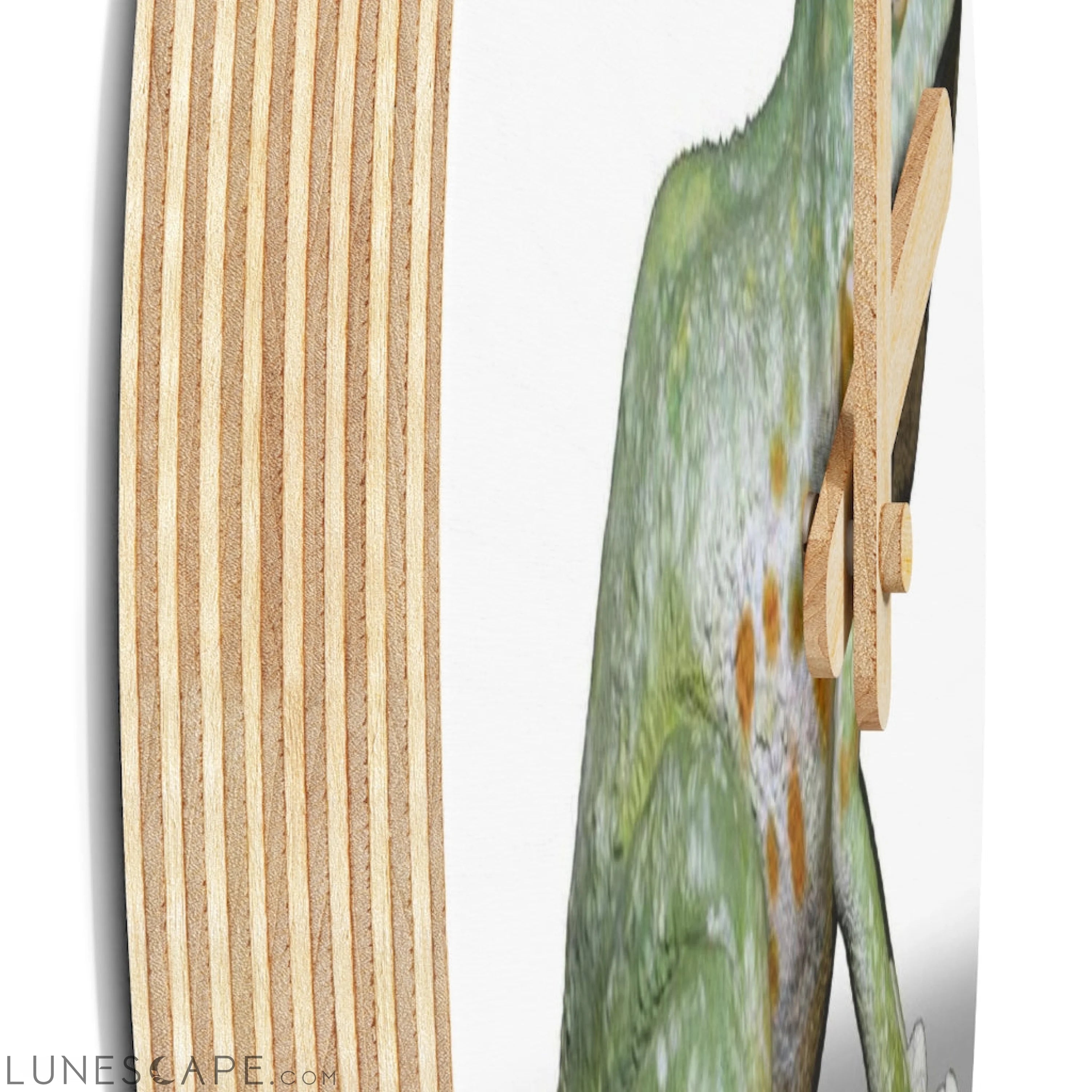 CG Frog Wooden Wall Clock LUNESCAPE