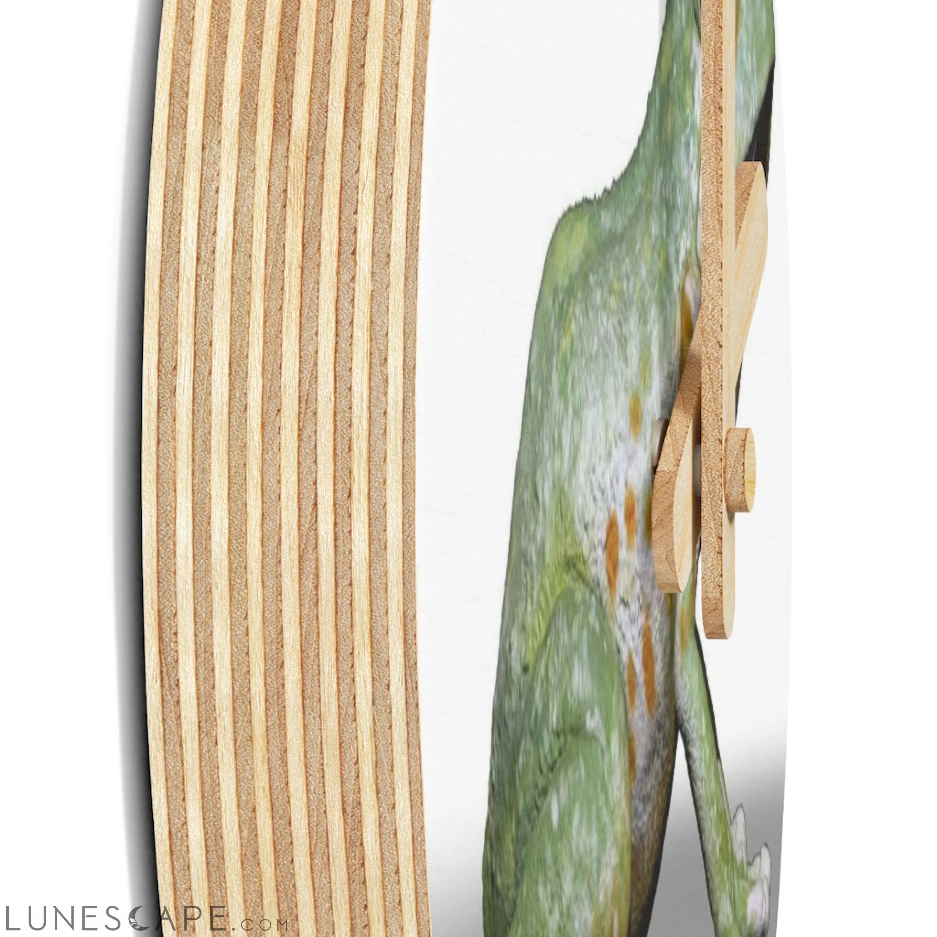 CG Frog Wooden Wall Clock LUNESCAPE