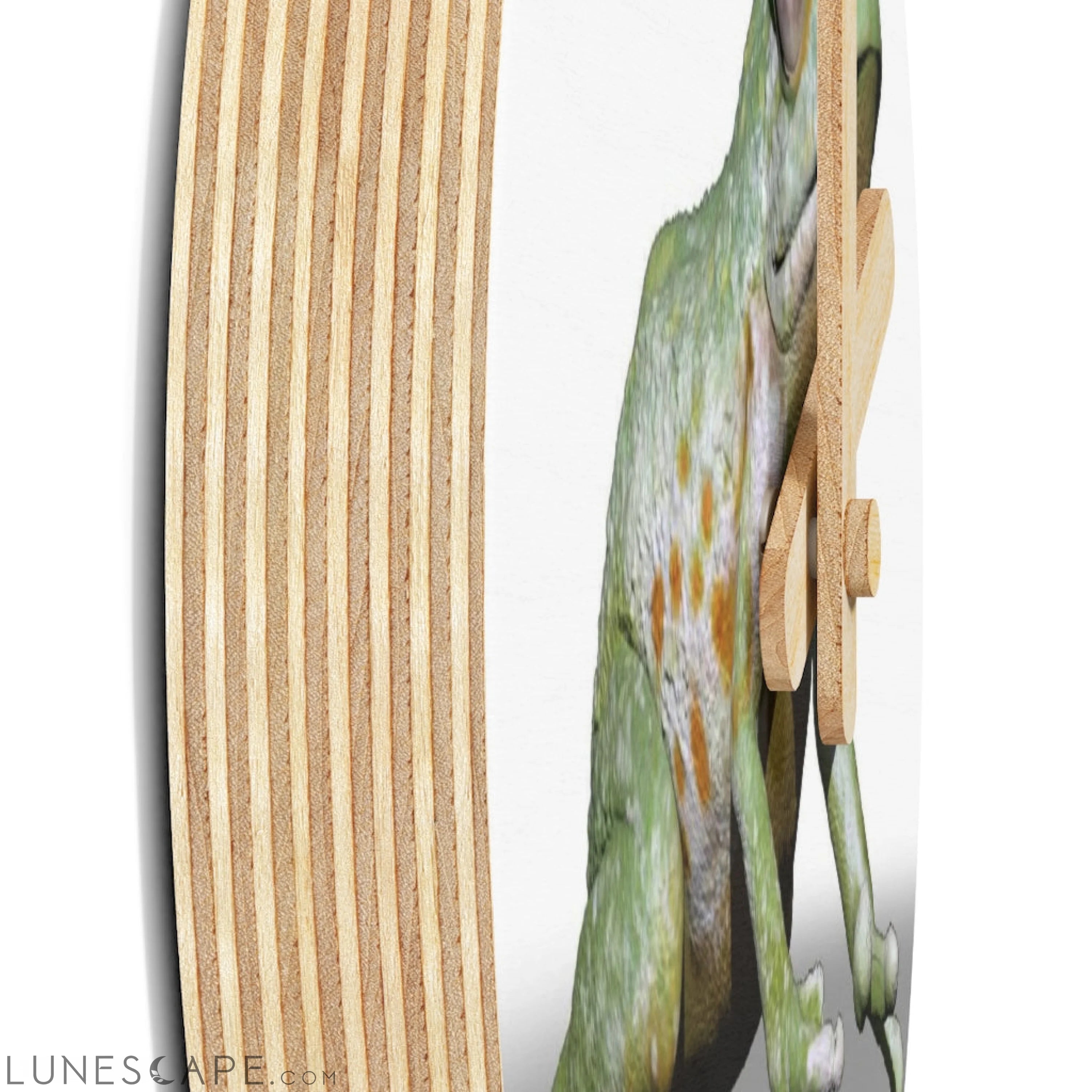 CG Frog Wooden Wall Clock LUNESCAPE