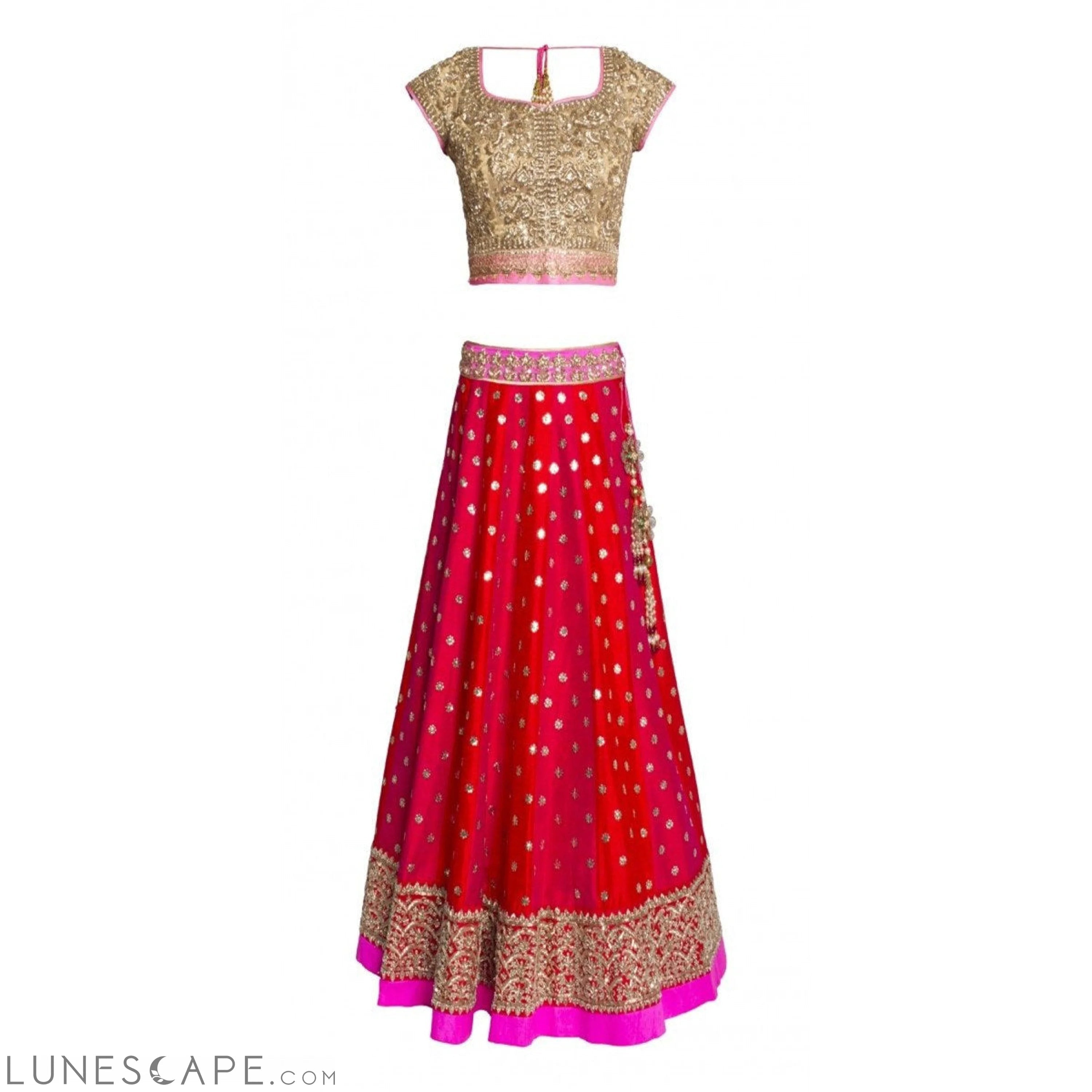 Chic and Stylish Lehenga Choli - Bollywood Inspired LUNESCAPE