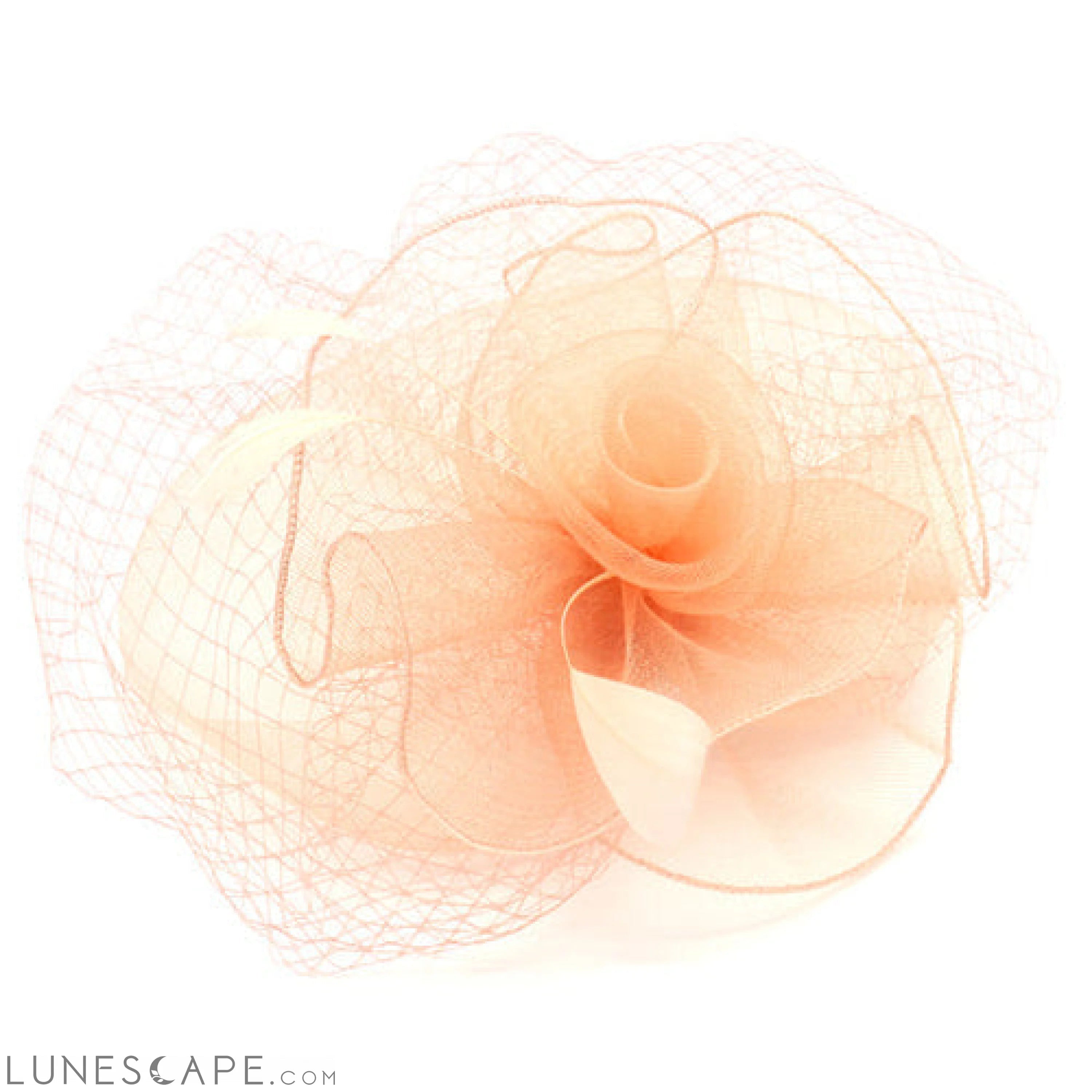 CLASSIC ROSE FASCINATOR W/ HEADBAND AND CLIP LUNESCAPE