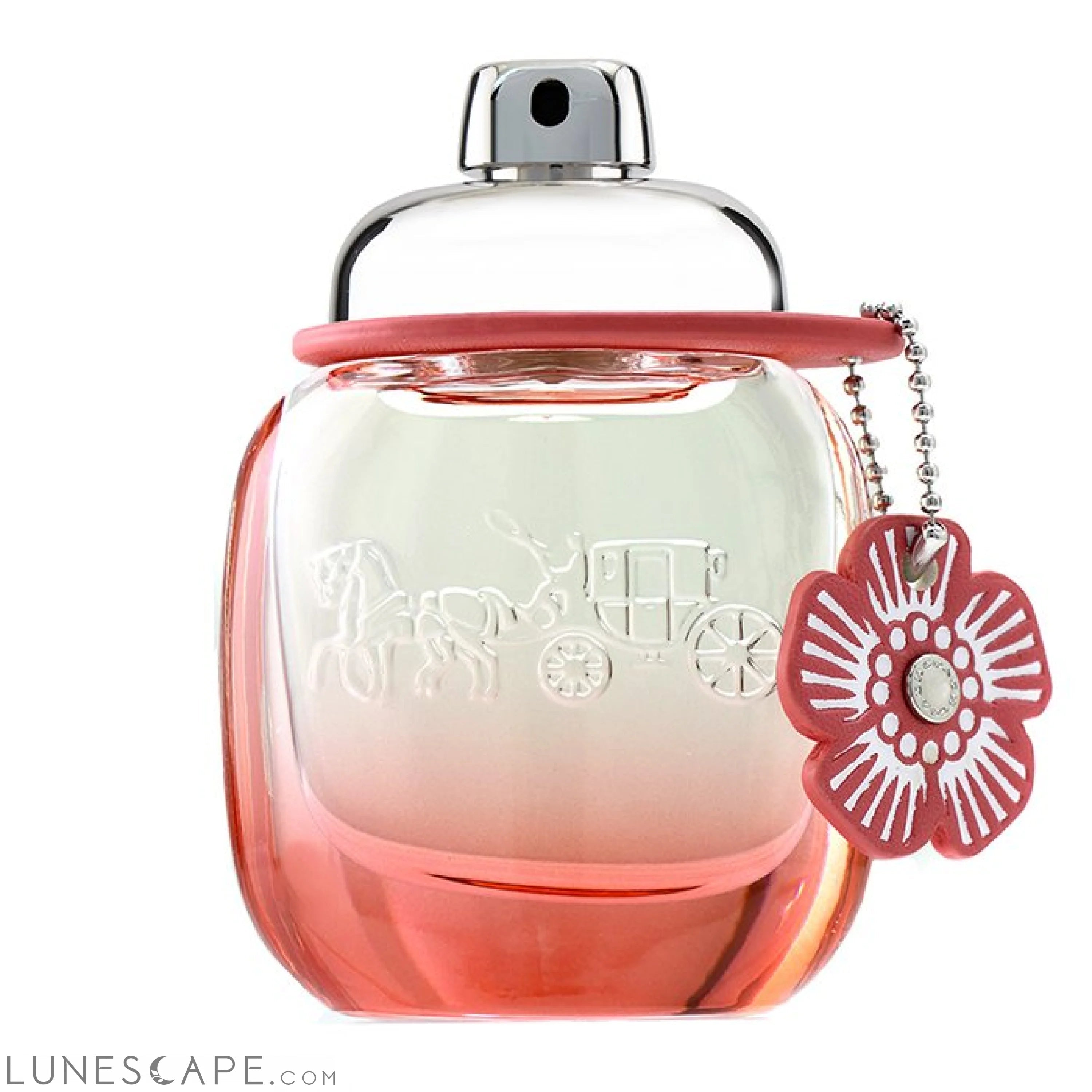 COACH - Floral Blush Eau De Parfum Spray LUNESCAPE