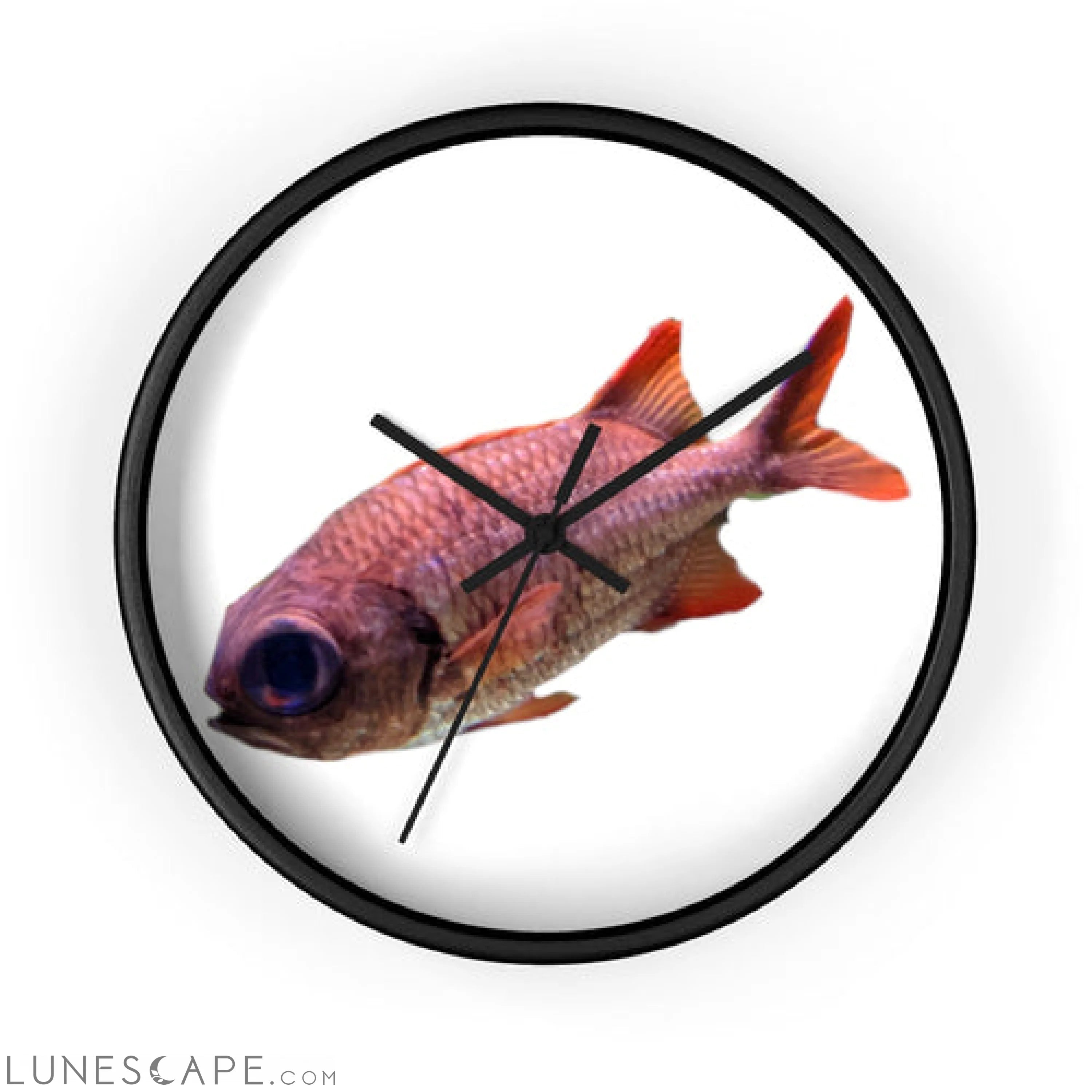 Colored Fish Wall clock LUNESCAPE