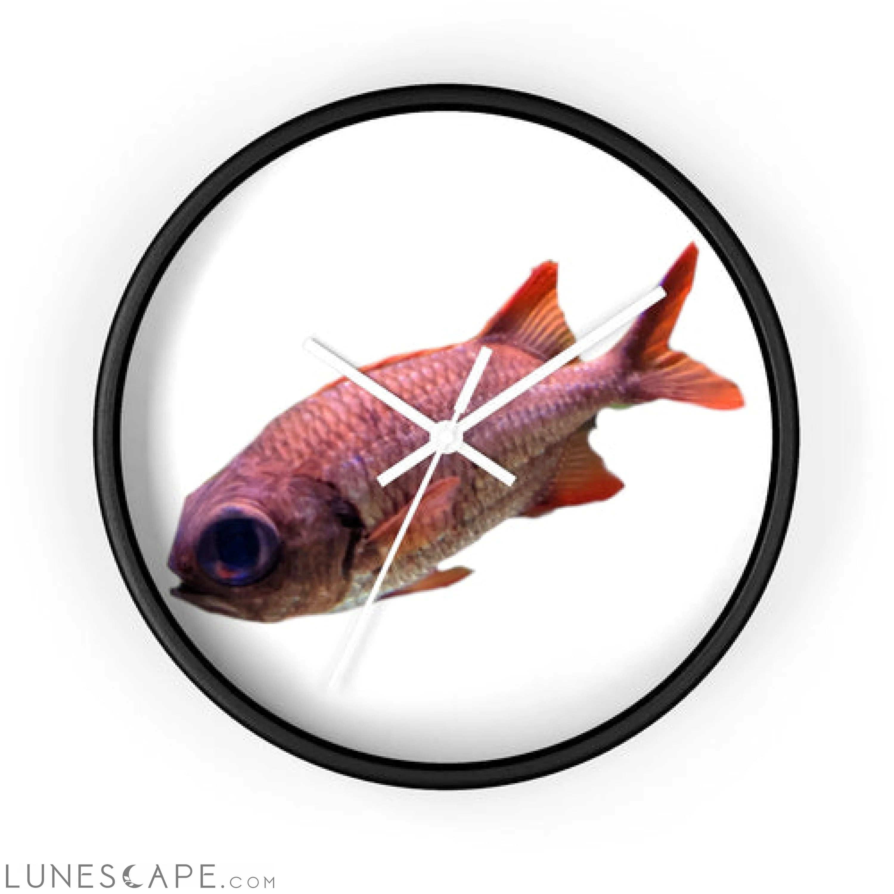 Colored Fish Wall clock LUNESCAPE