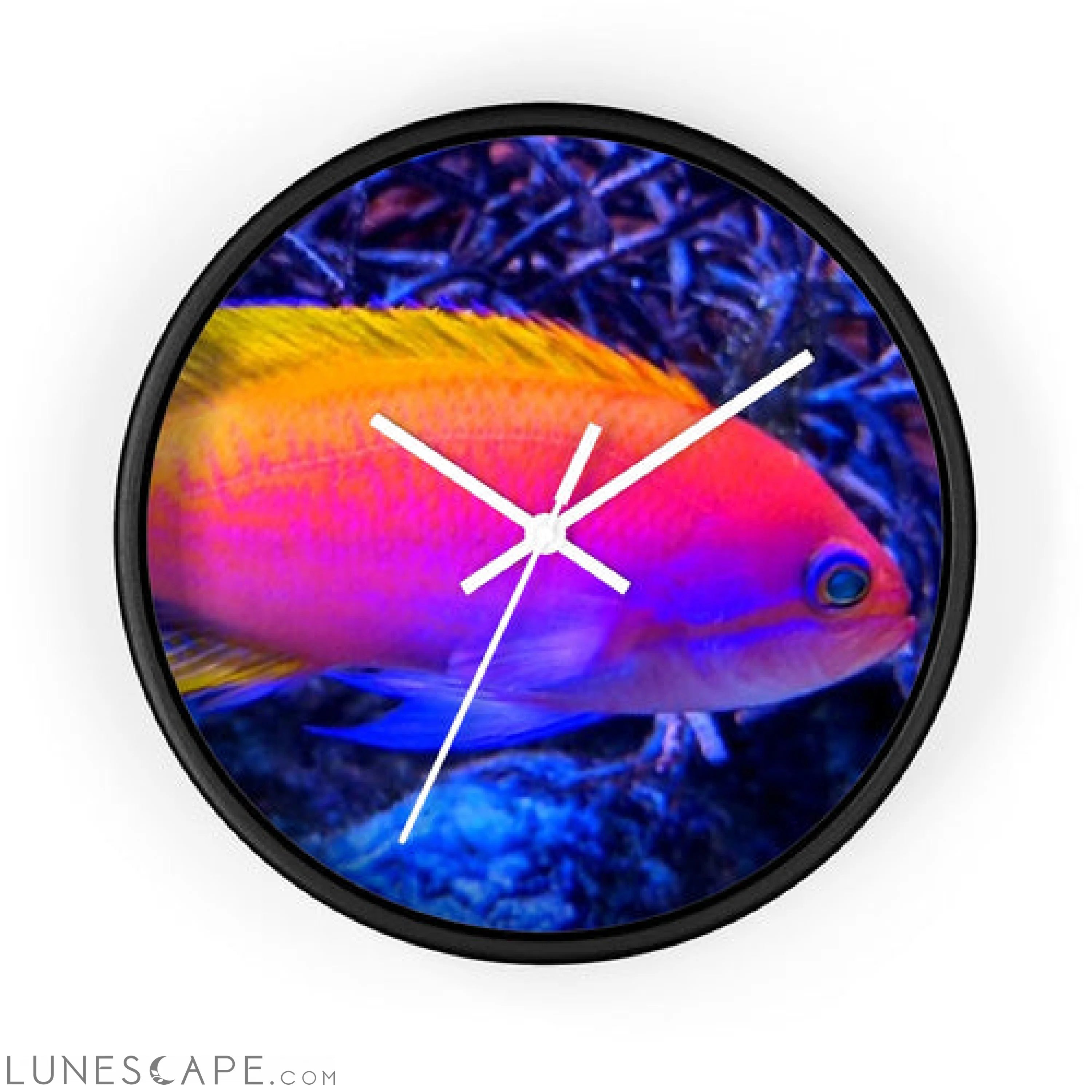 Colored Fish Wall clock LUNESCAPE