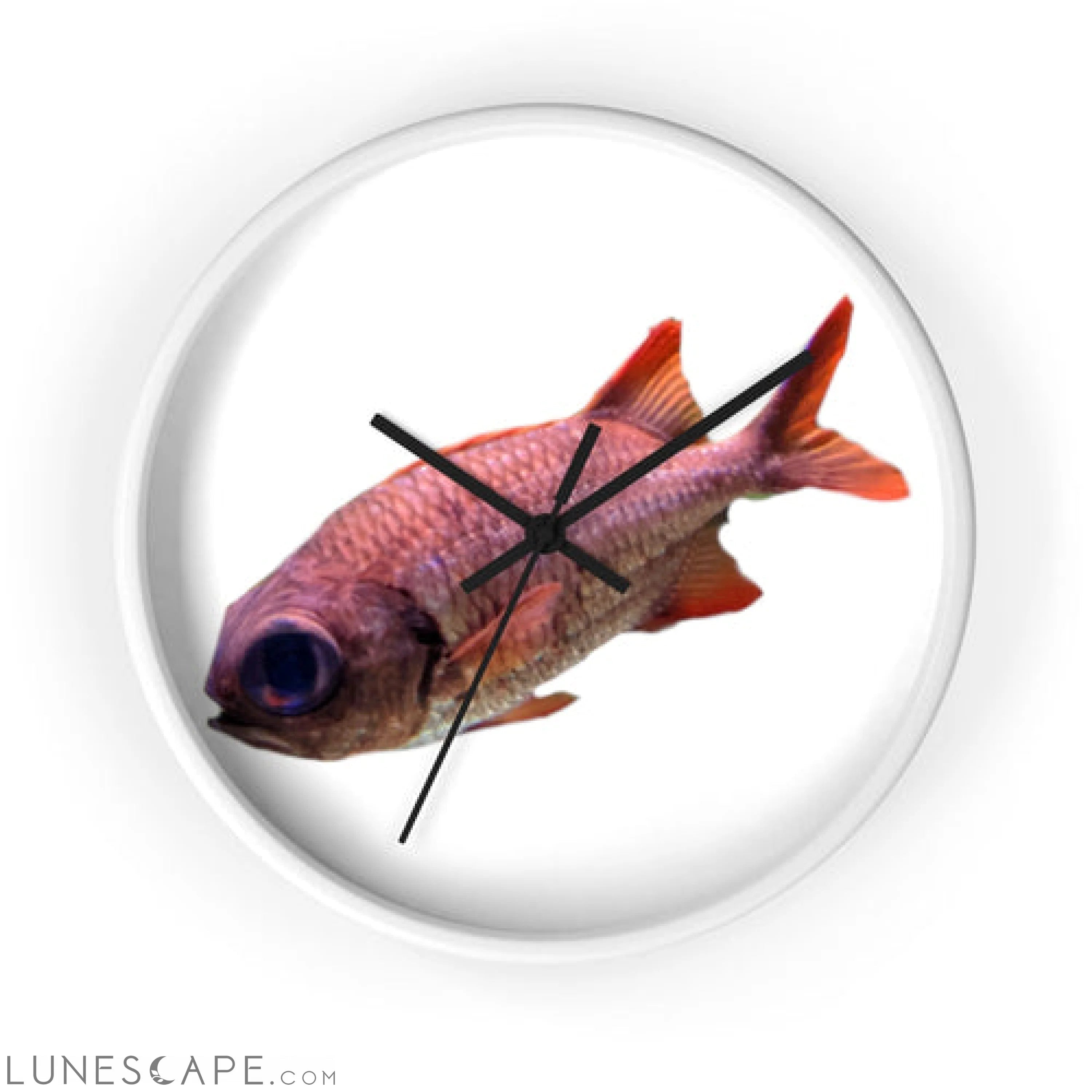 Colored Fish Wall clock LUNESCAPE
