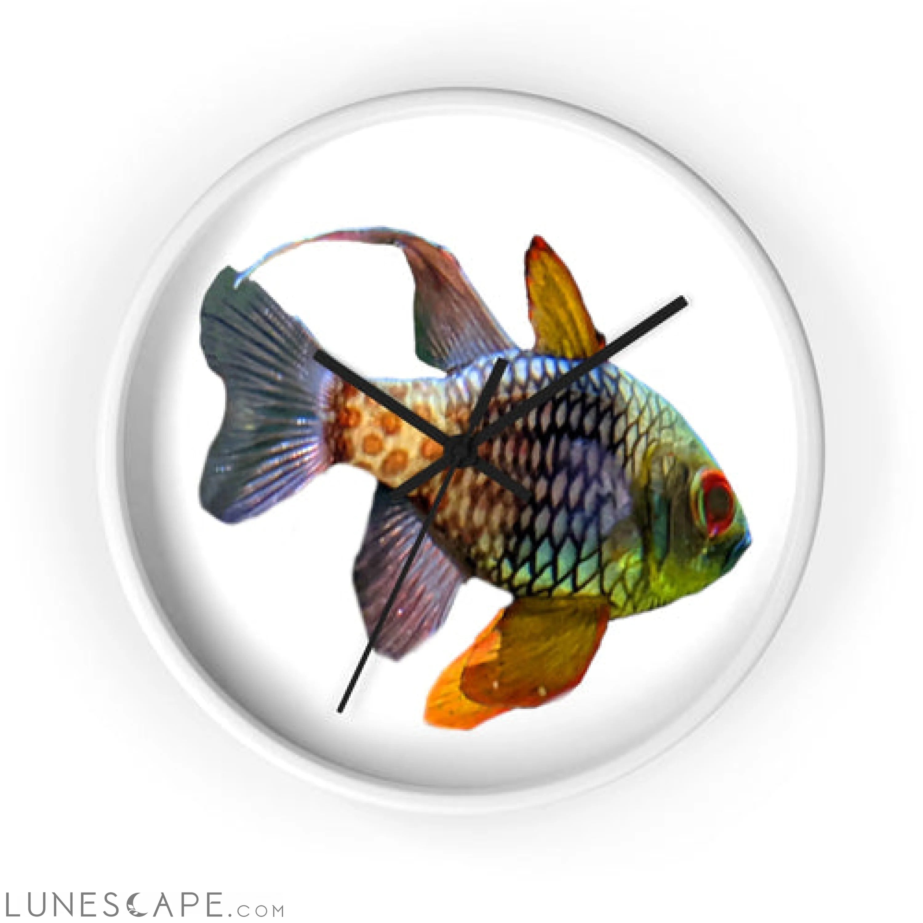Colored Fish Wall clock LUNESCAPE