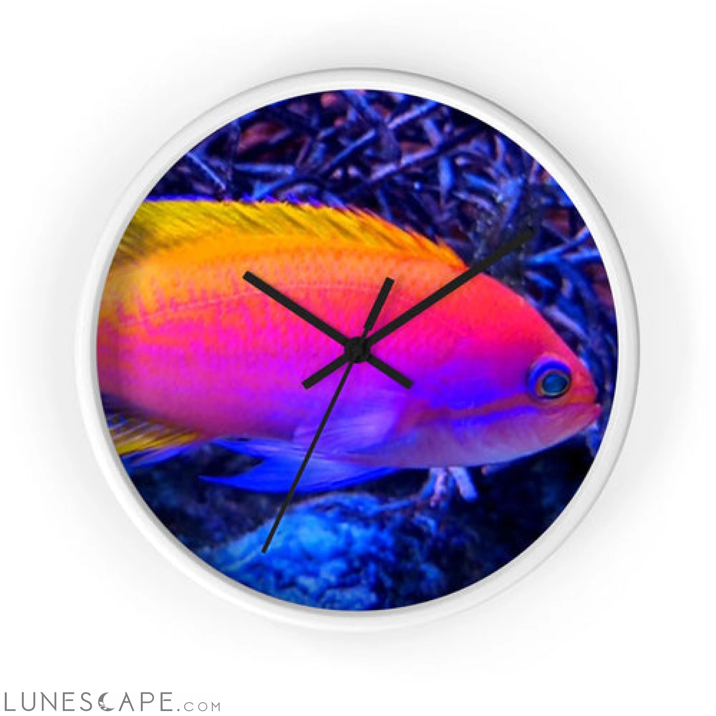 Colored Fish Wall clock LUNESCAPE