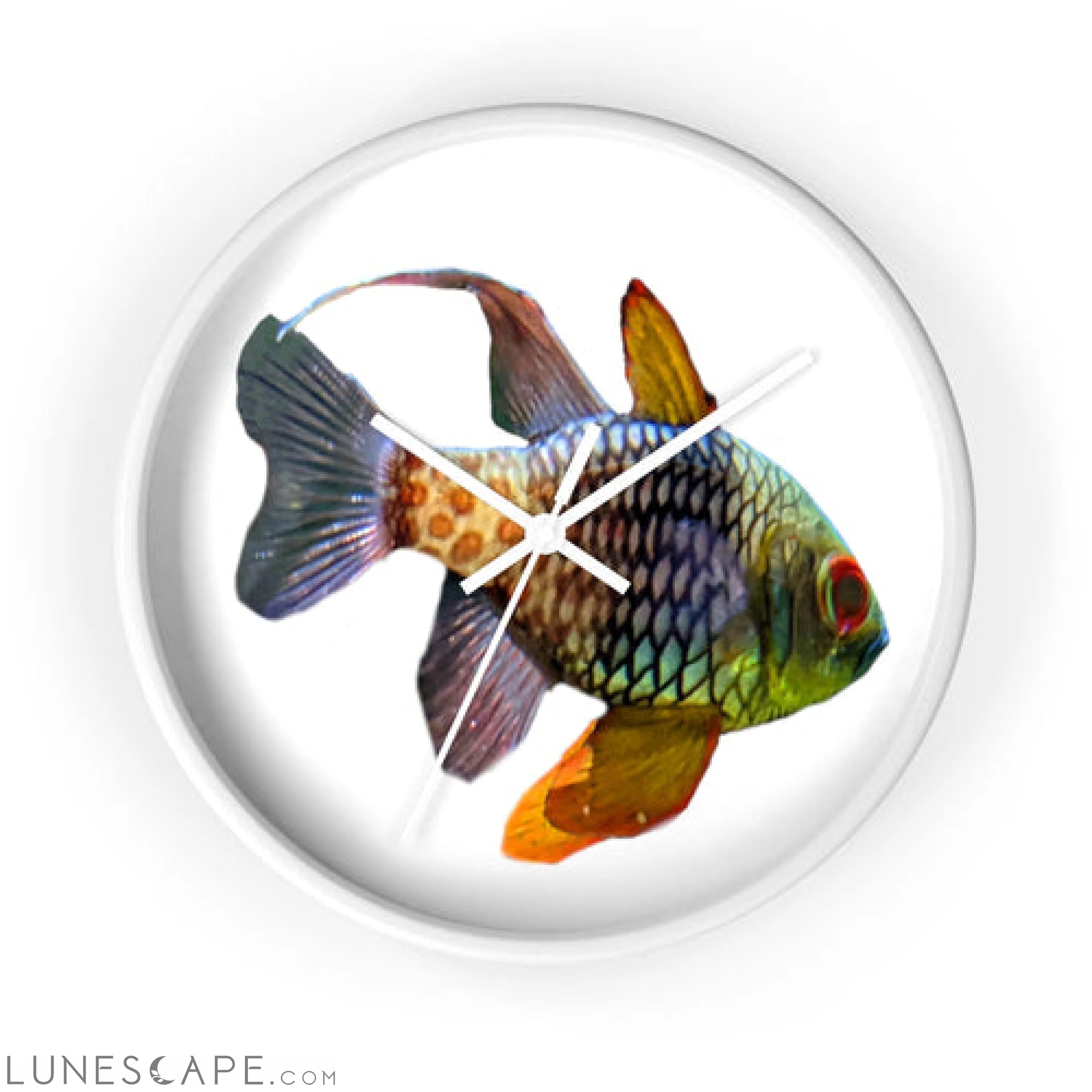 Colored Fish Wall clock LUNESCAPE