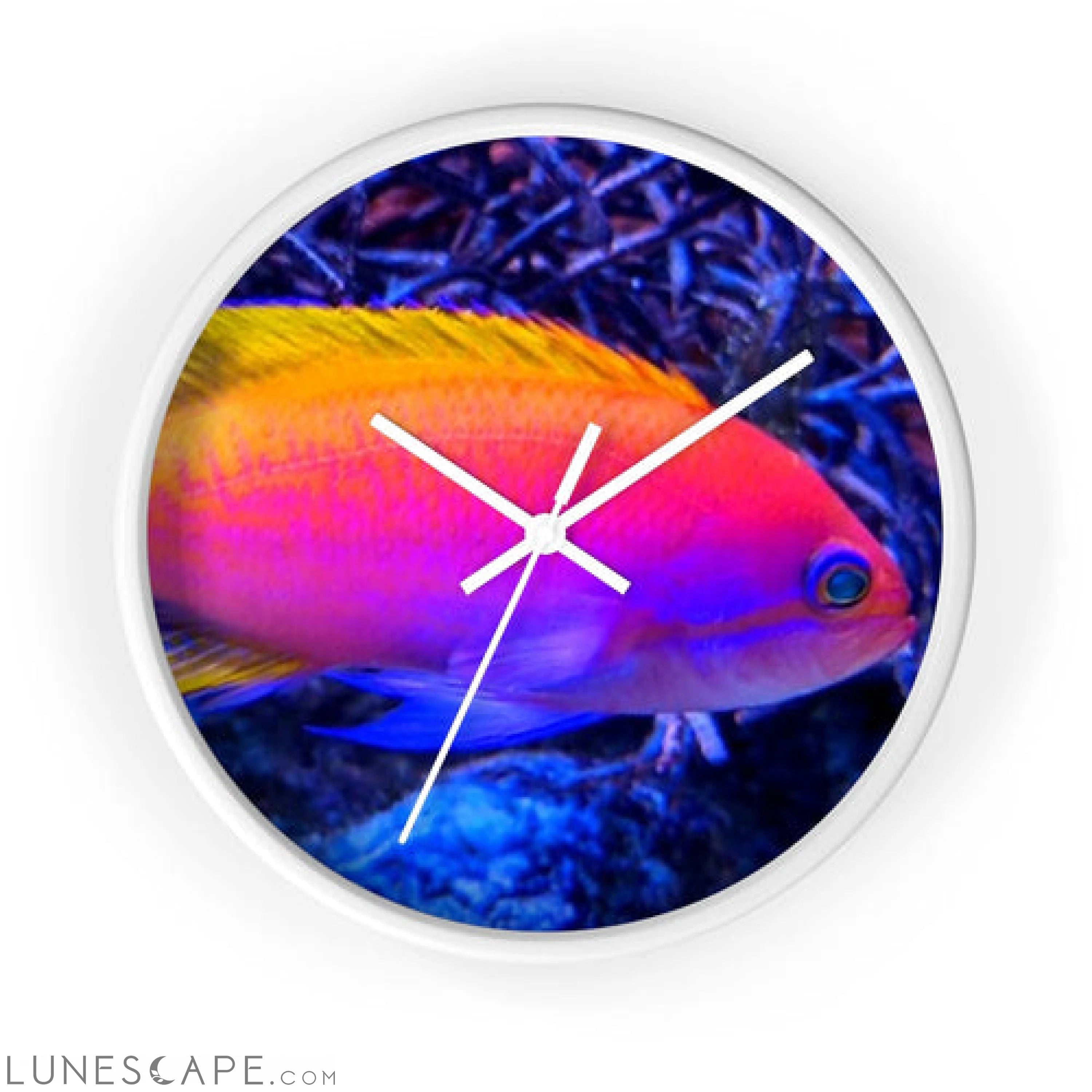 Colored Fish Wall clock LUNESCAPE