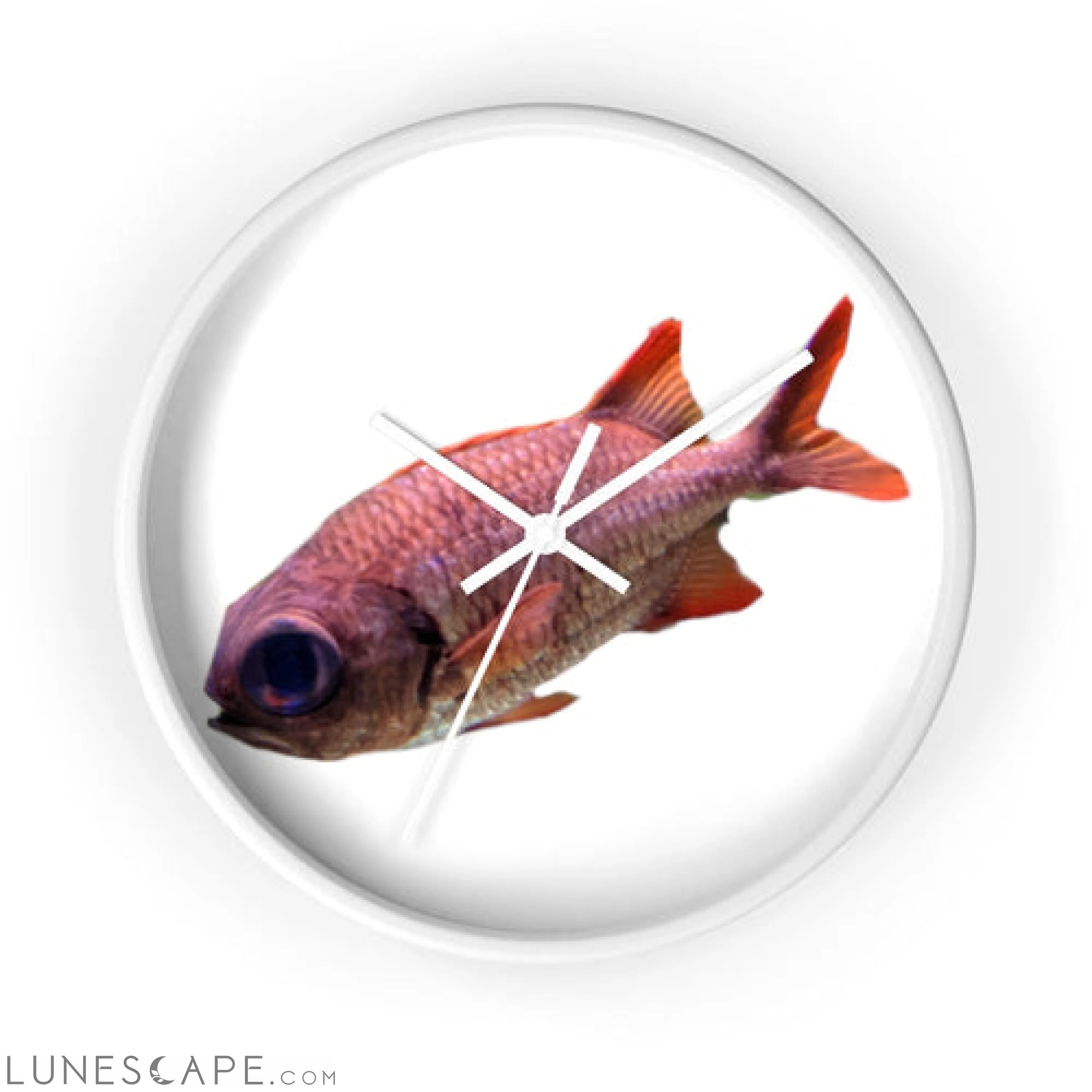 Colored Fish Wall clock LUNESCAPE
