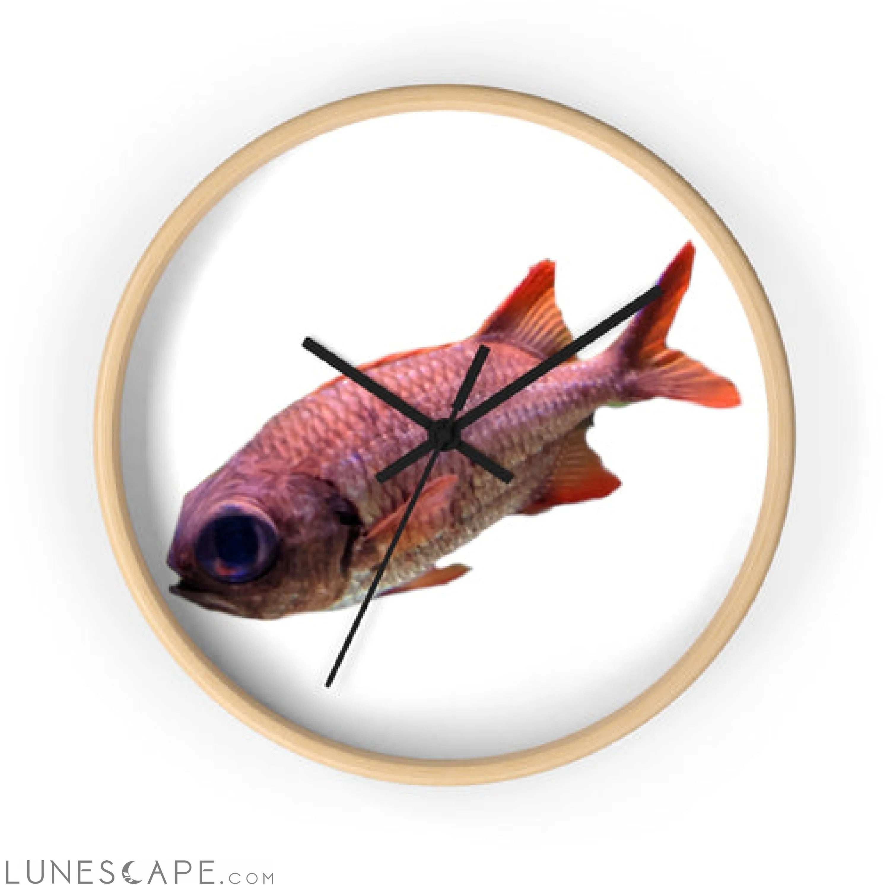 Colored Fish Wall clock LUNESCAPE