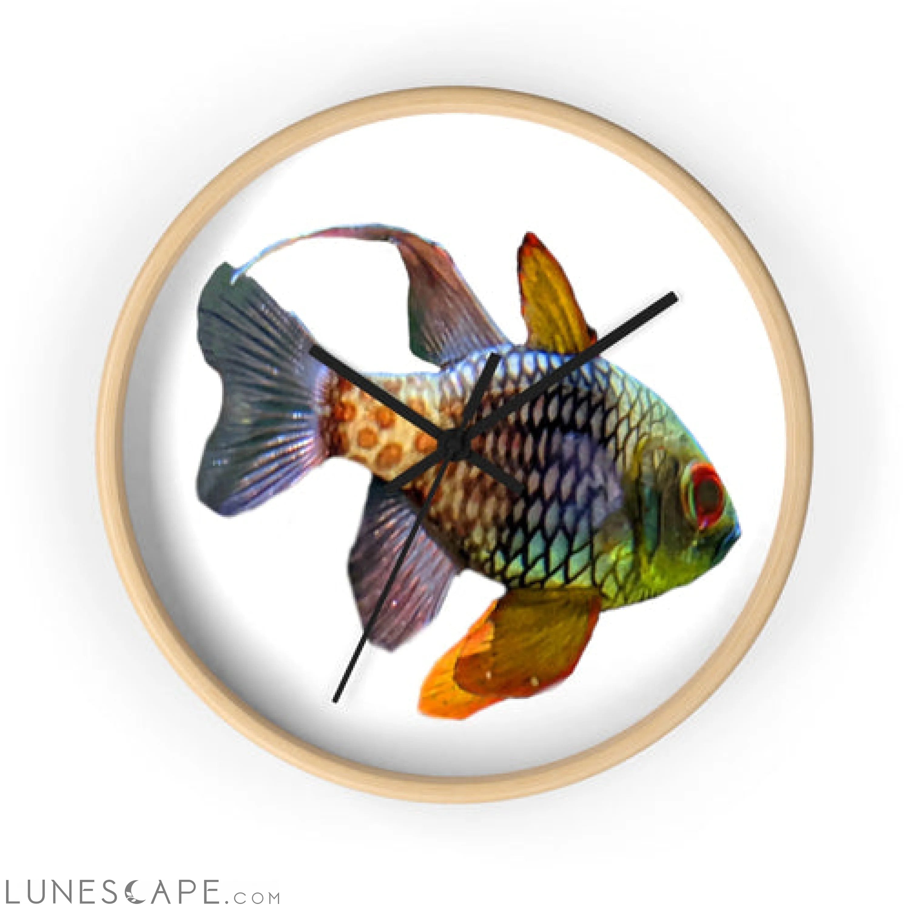 Colored Fish Wall clock LUNESCAPE