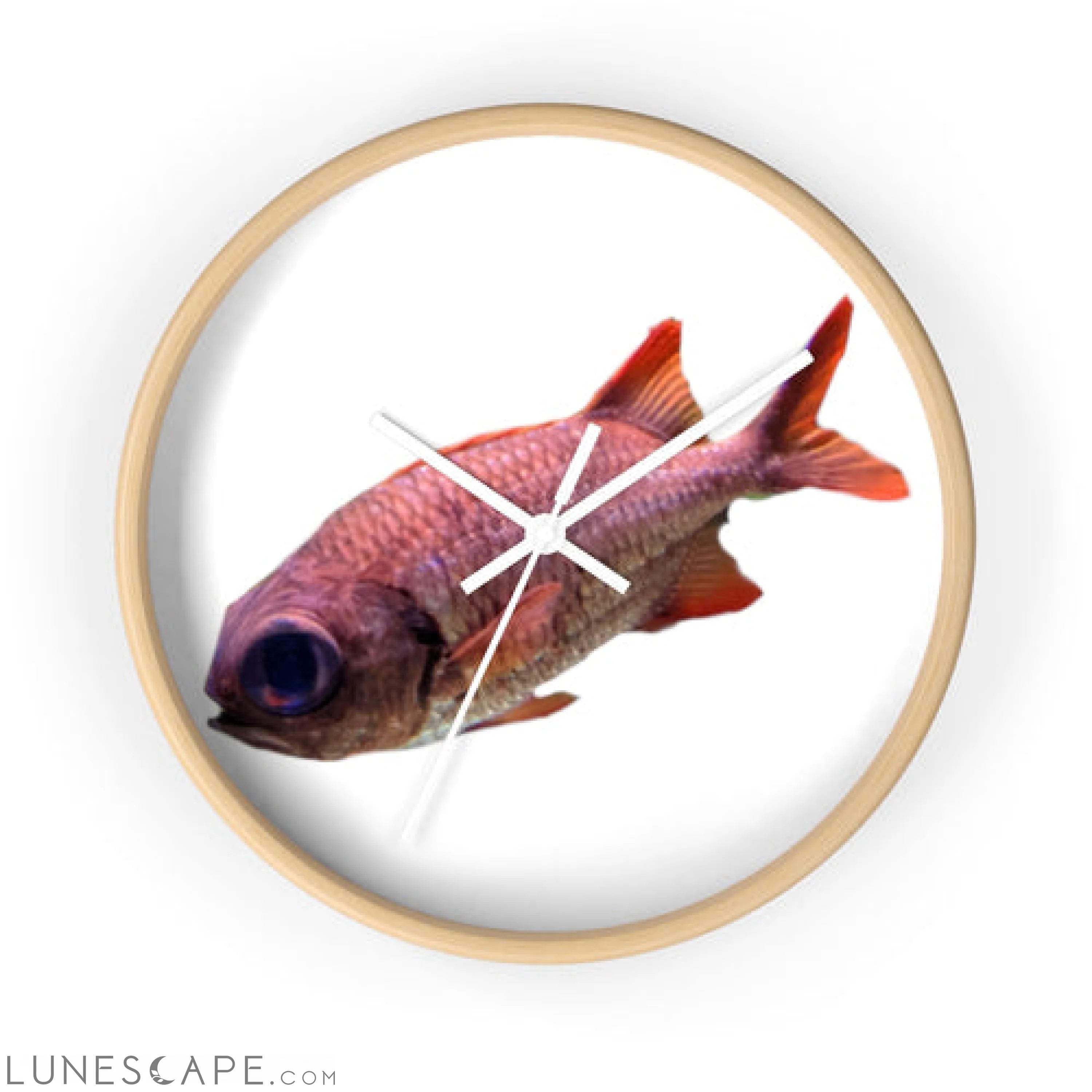 Colored Fish Wall clock LUNESCAPE