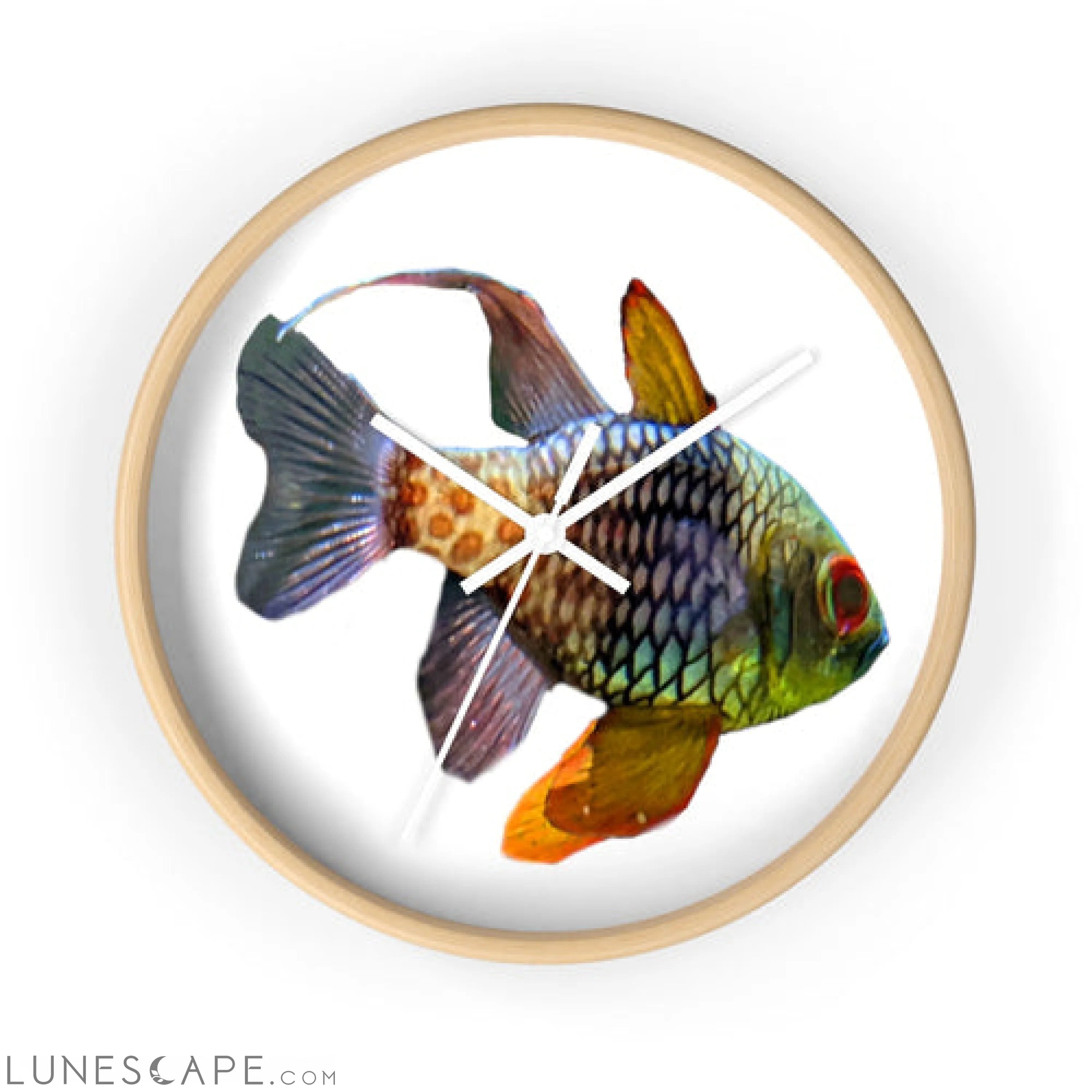 Colored Fish Wall clock LUNESCAPE