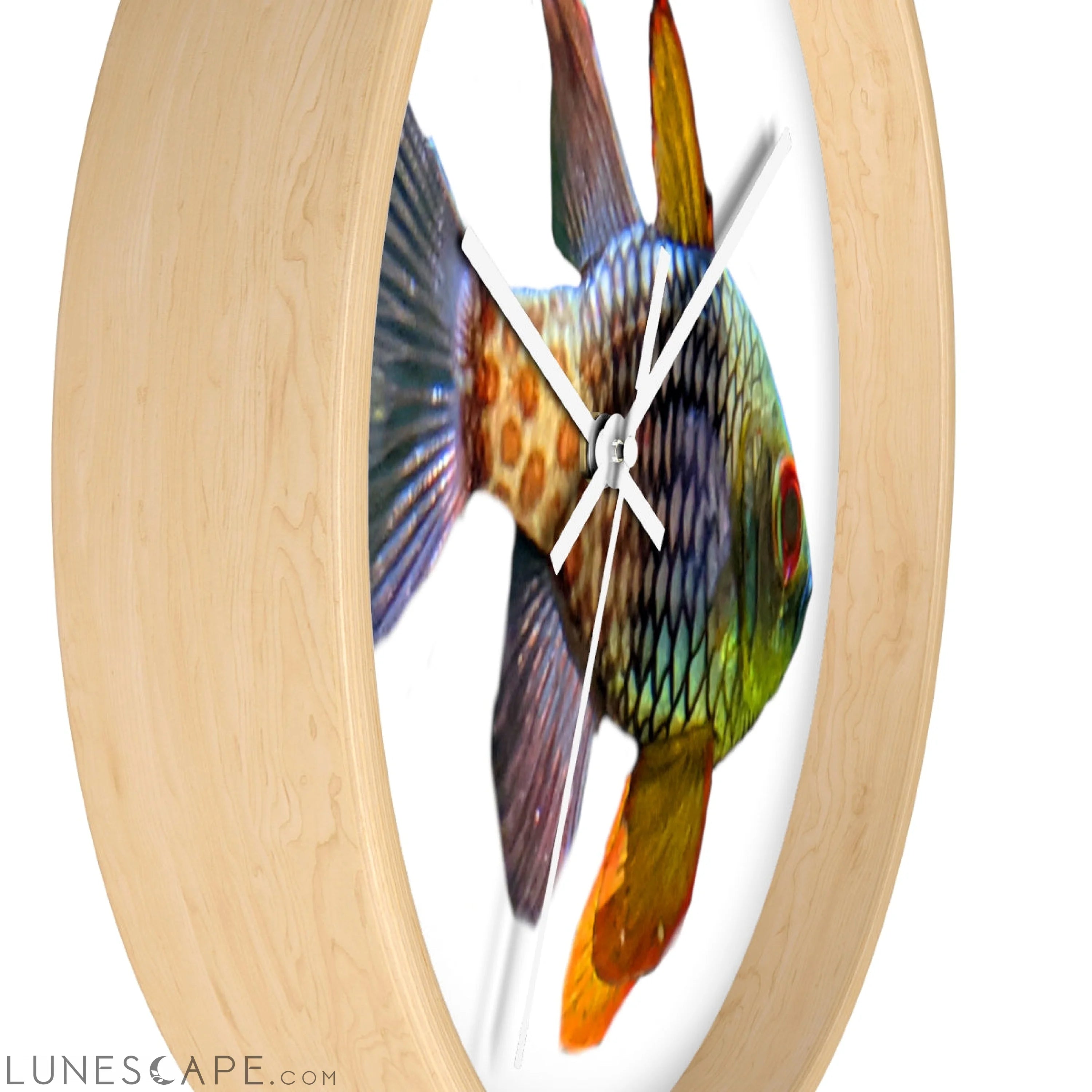 Colored Fish Wall clock LUNESCAPE